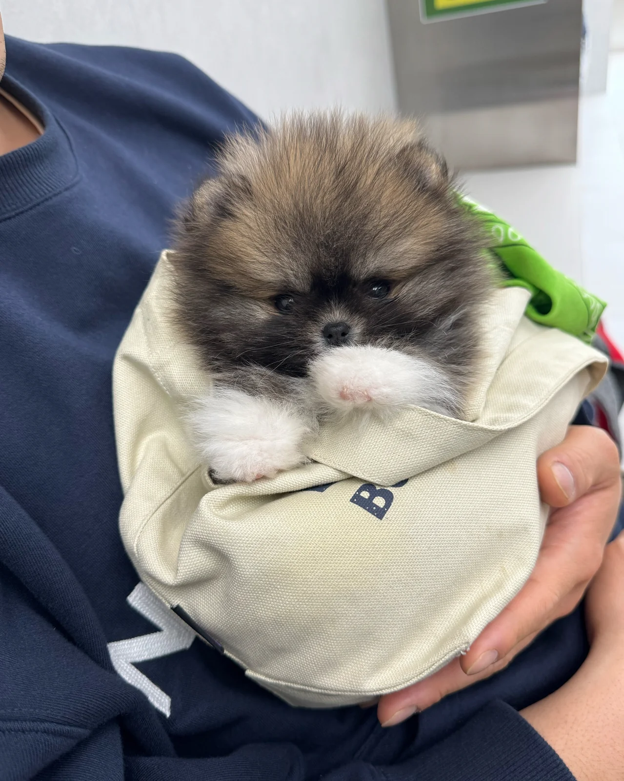 리뷰 사진 1