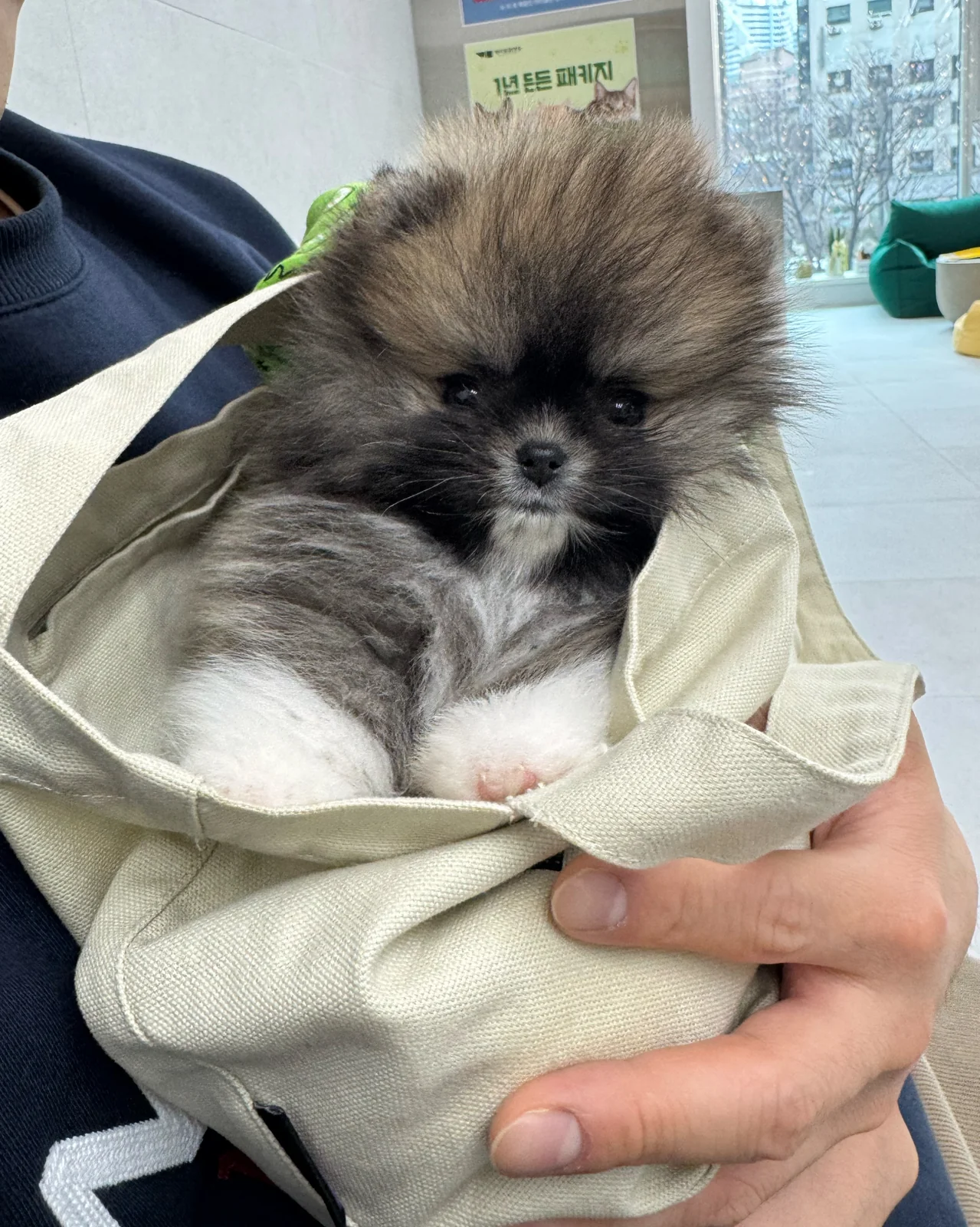 리뷰 사진 2