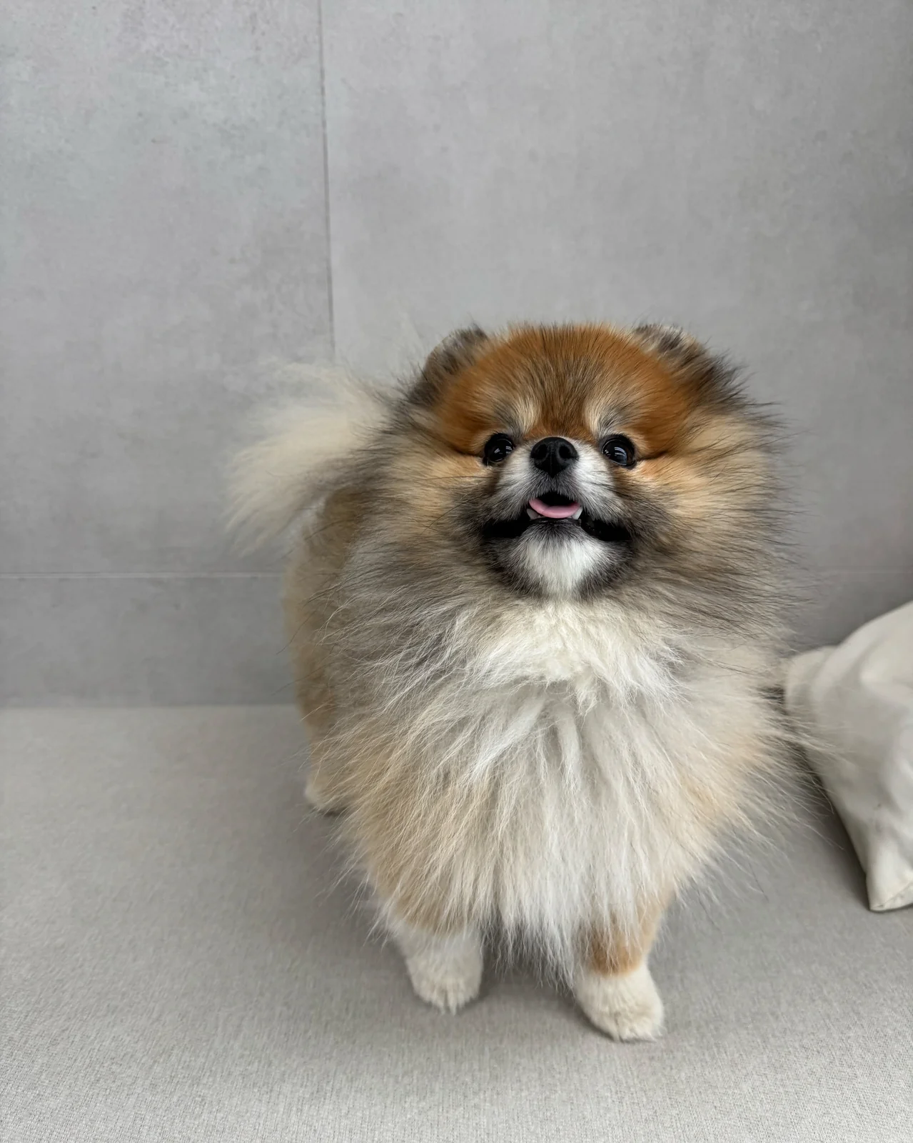 리뷰 사진 3
