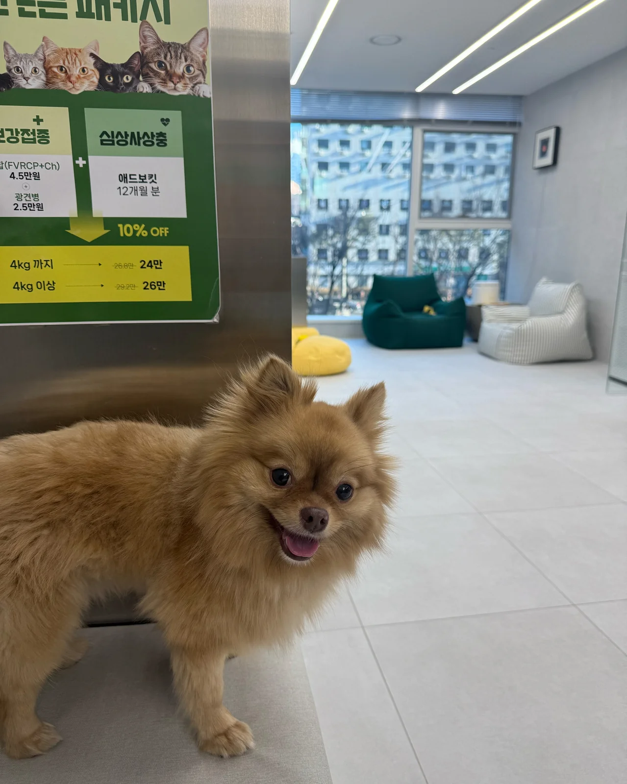 리뷰 사진 1