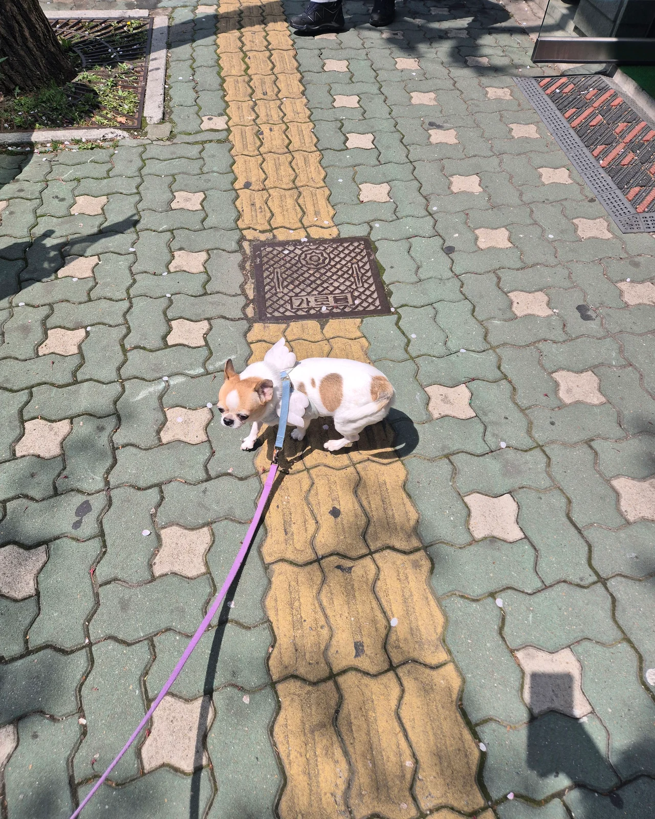 리뷰 사진 1