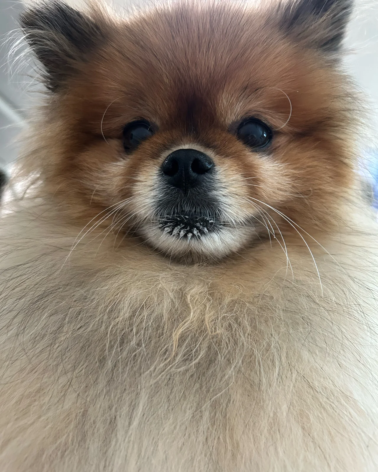 리뷰 사진 1