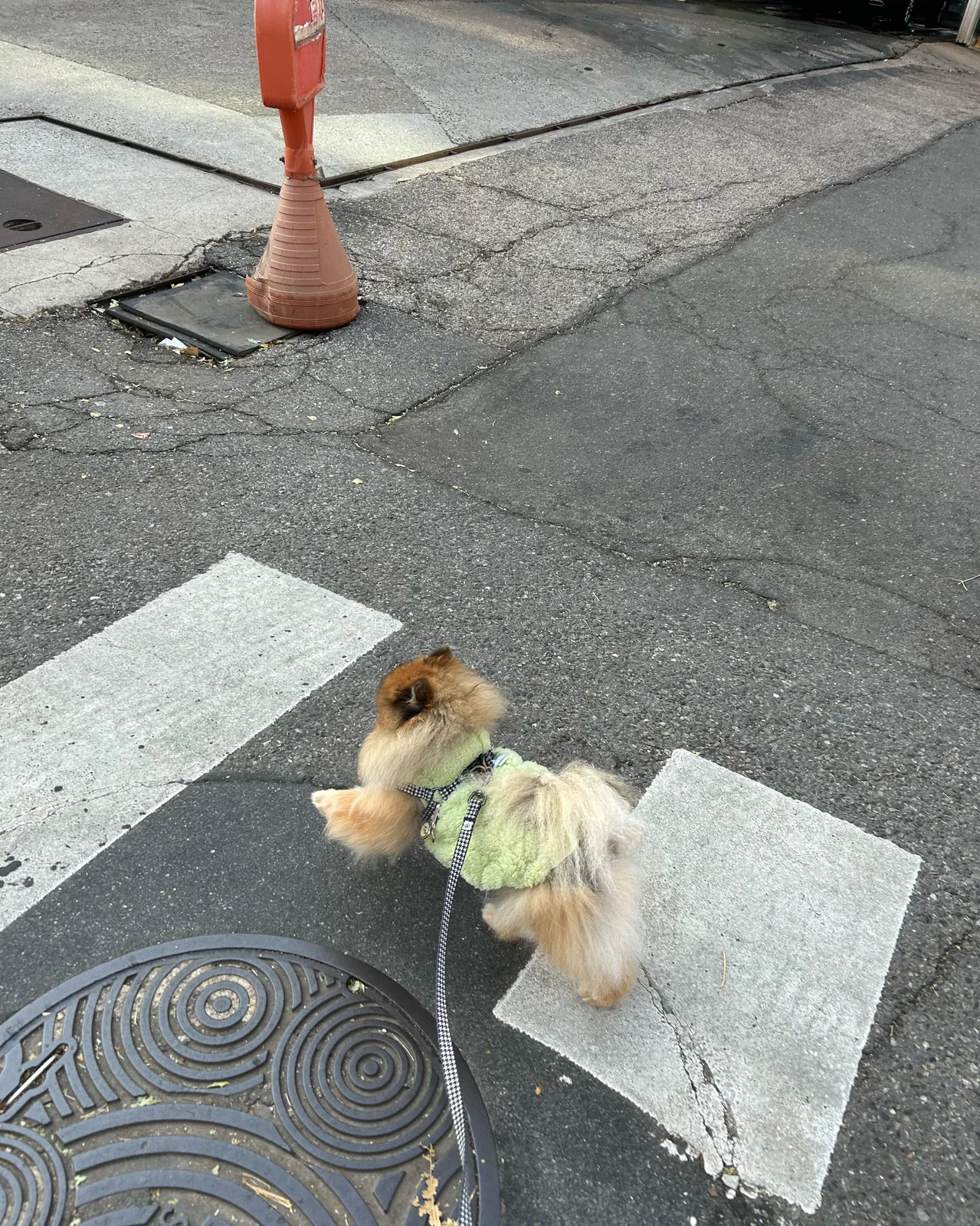리뷰 사진 1