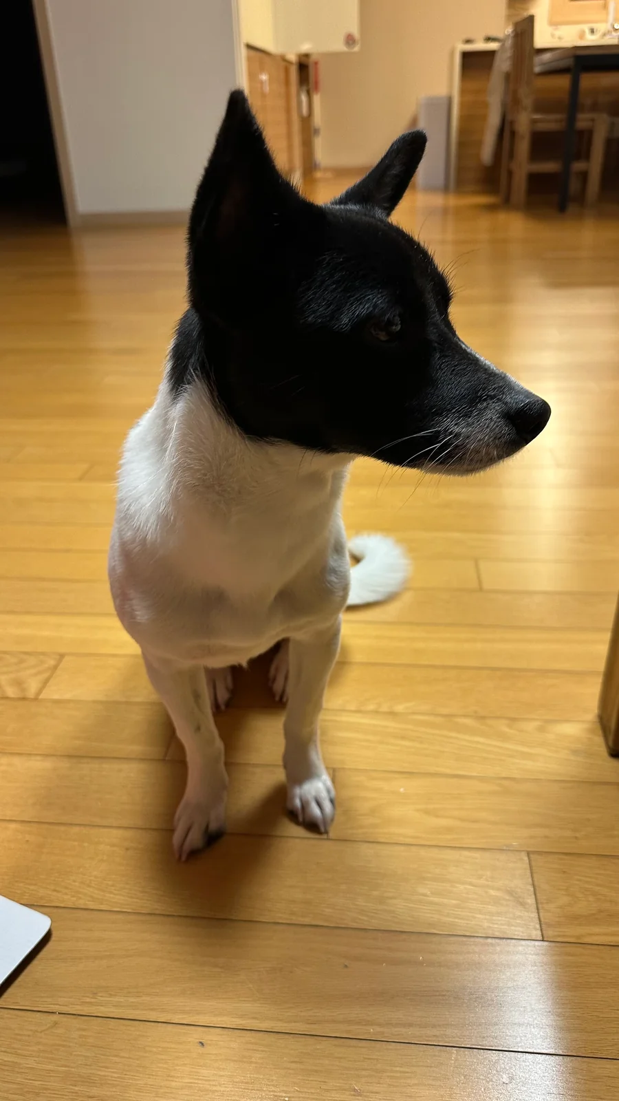 리뷰 사진 1