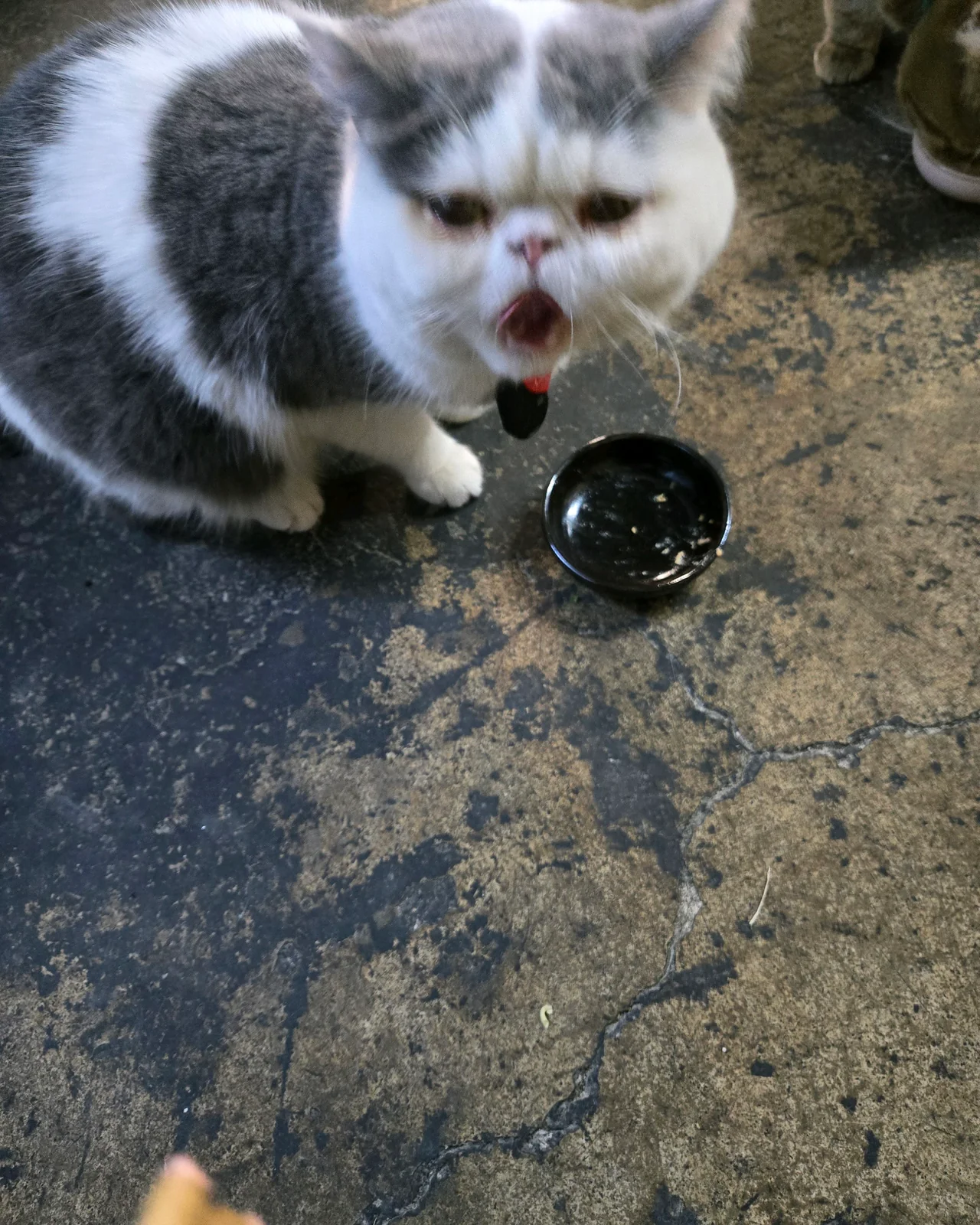 리뷰 사진 1