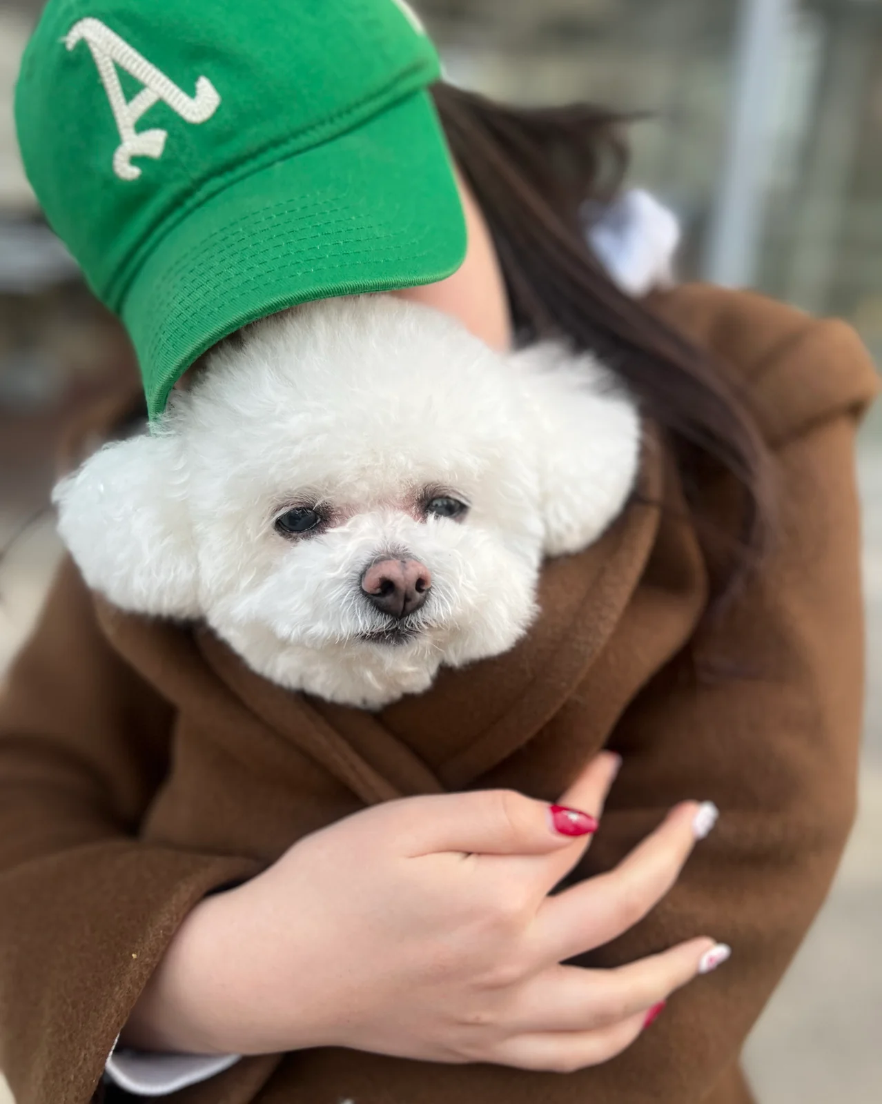 리뷰 사진 2