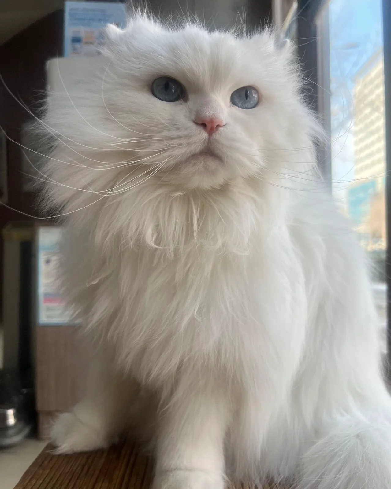 리뷰 사진 3