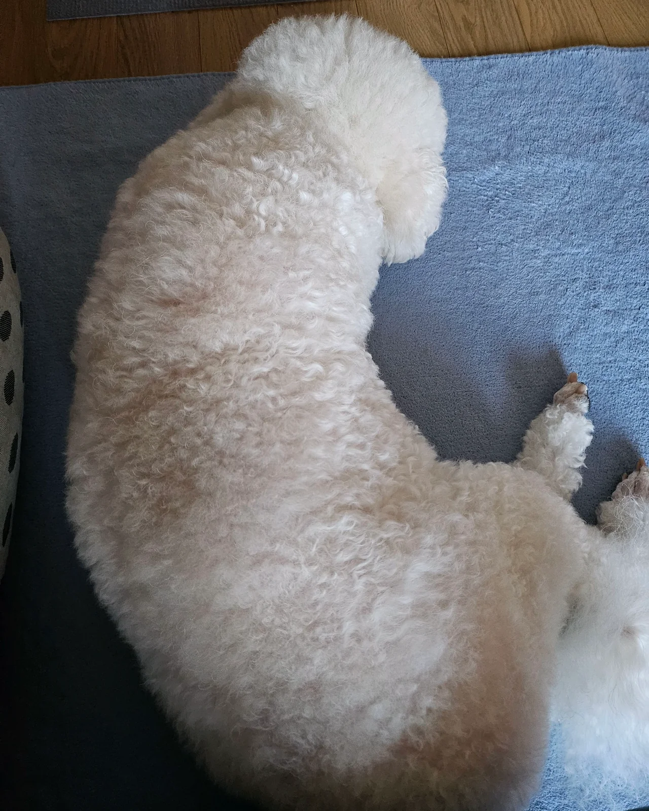 리뷰 사진 1
