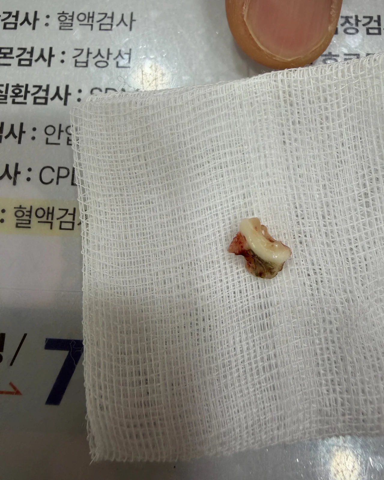 리뷰 사진 2