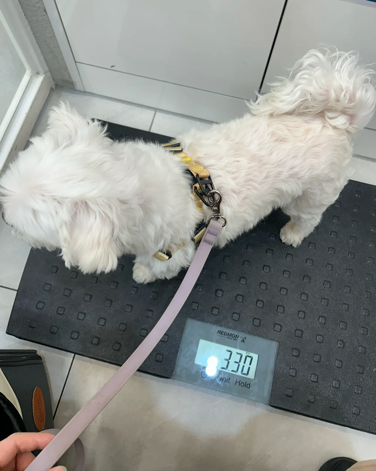 리뷰 사진 2