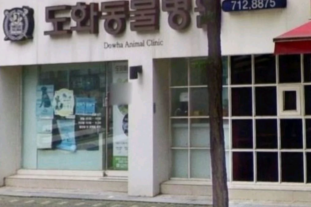 리뷰 사진 1