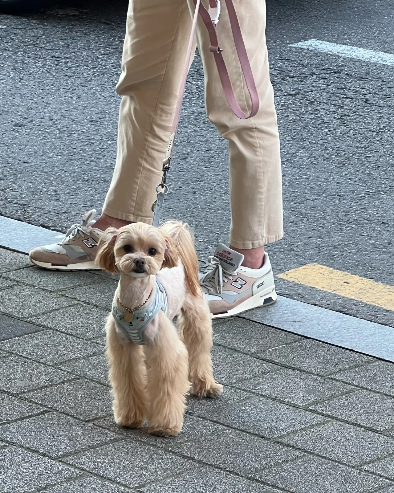 리뷰 사진 1