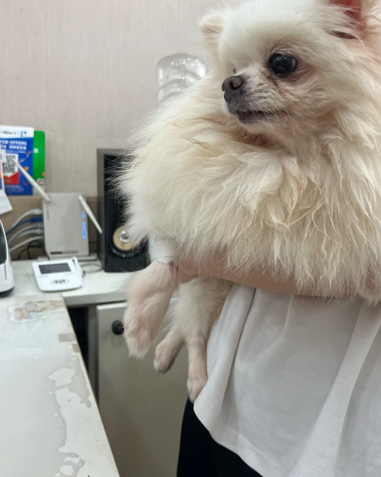 리뷰 사진 1