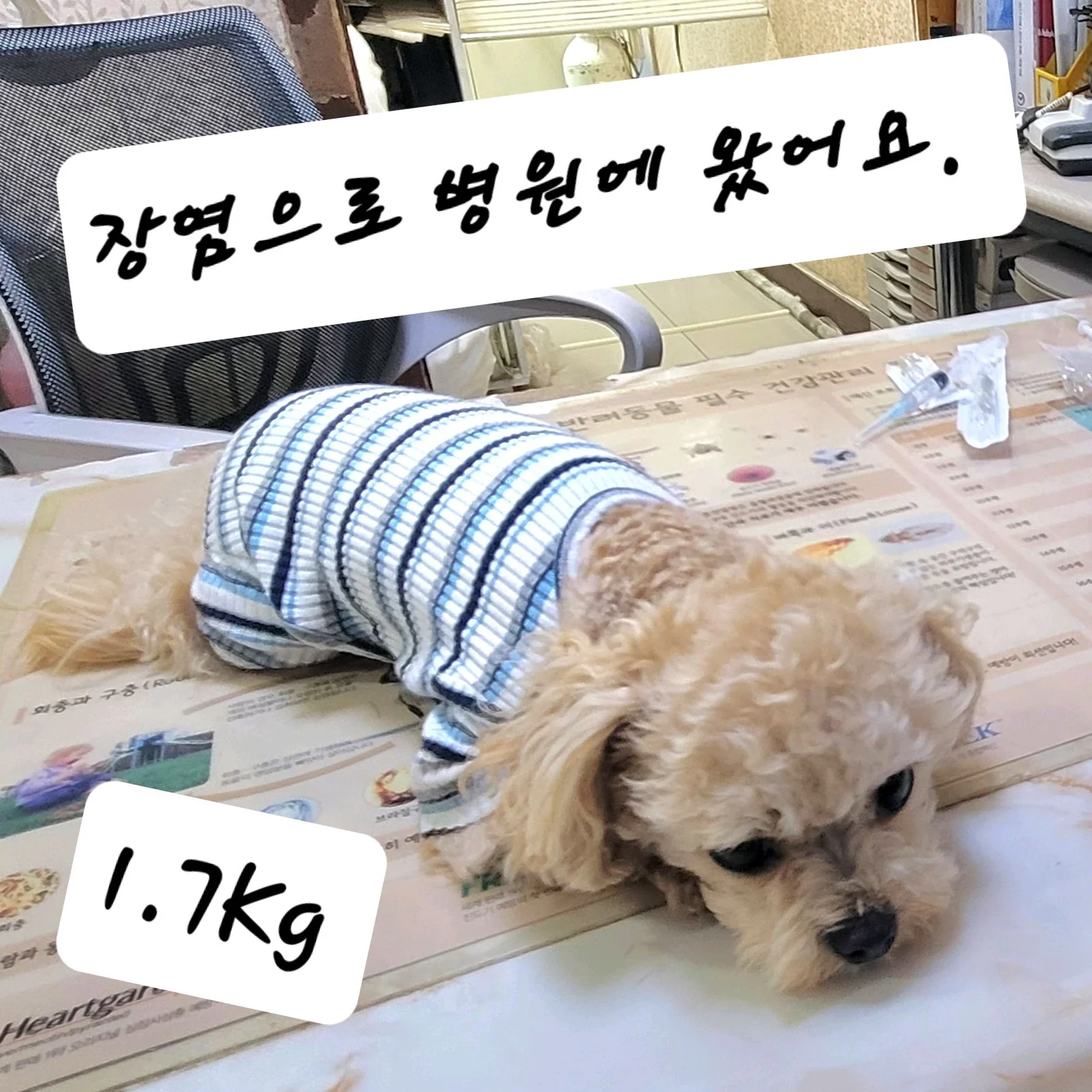 리뷰 사진 1