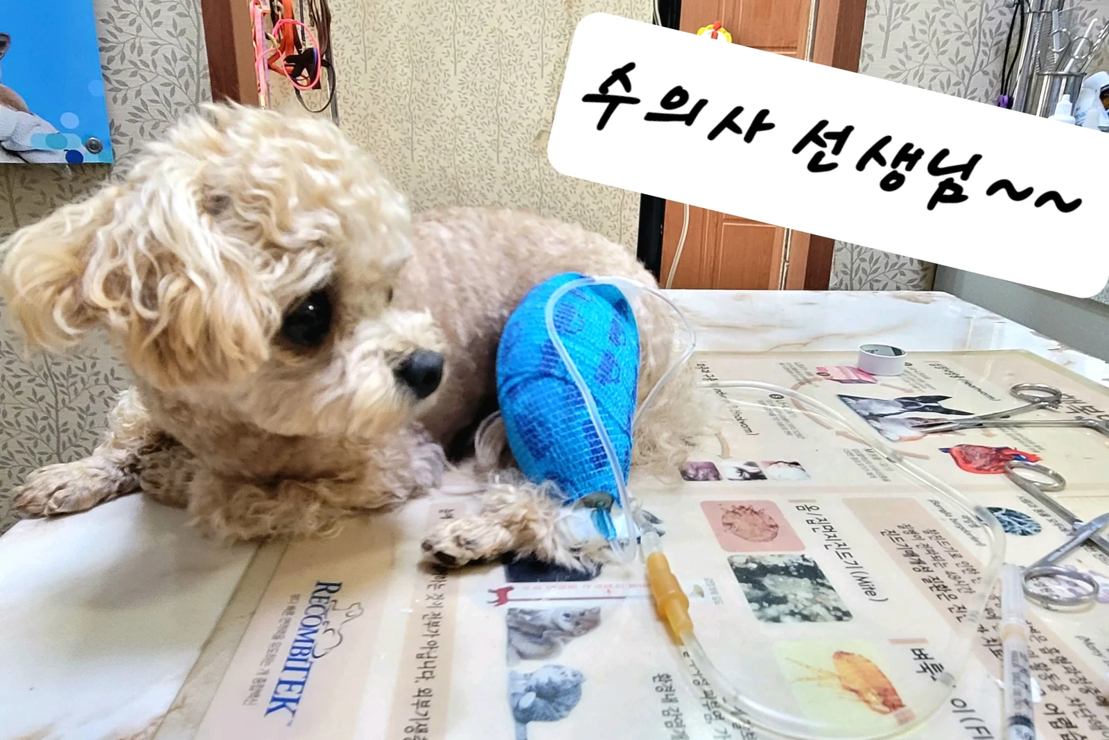 리뷰 사진 2