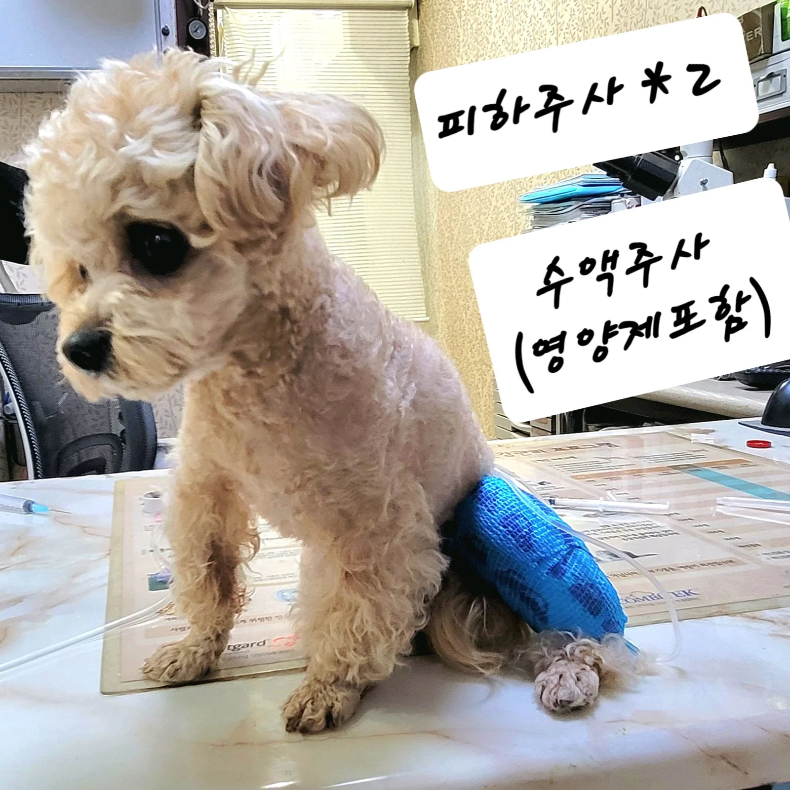 리뷰 사진 3