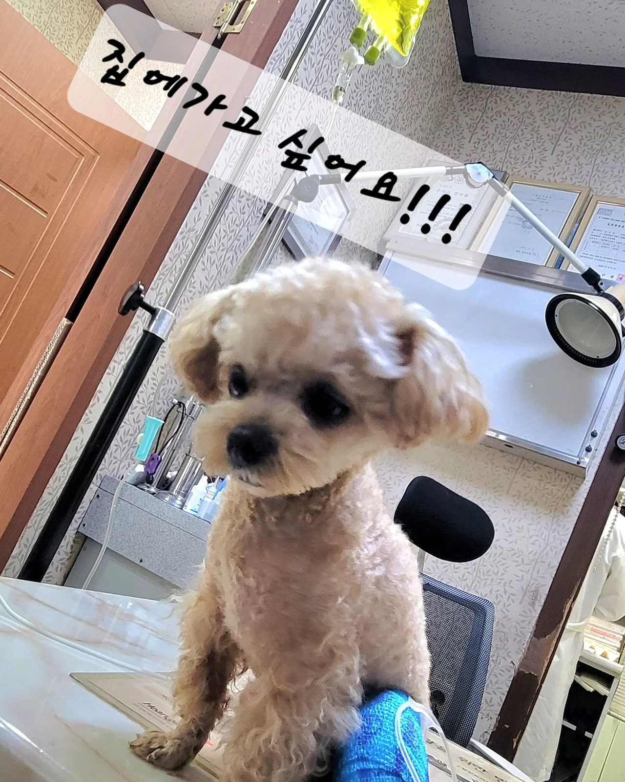리뷰 사진 4
