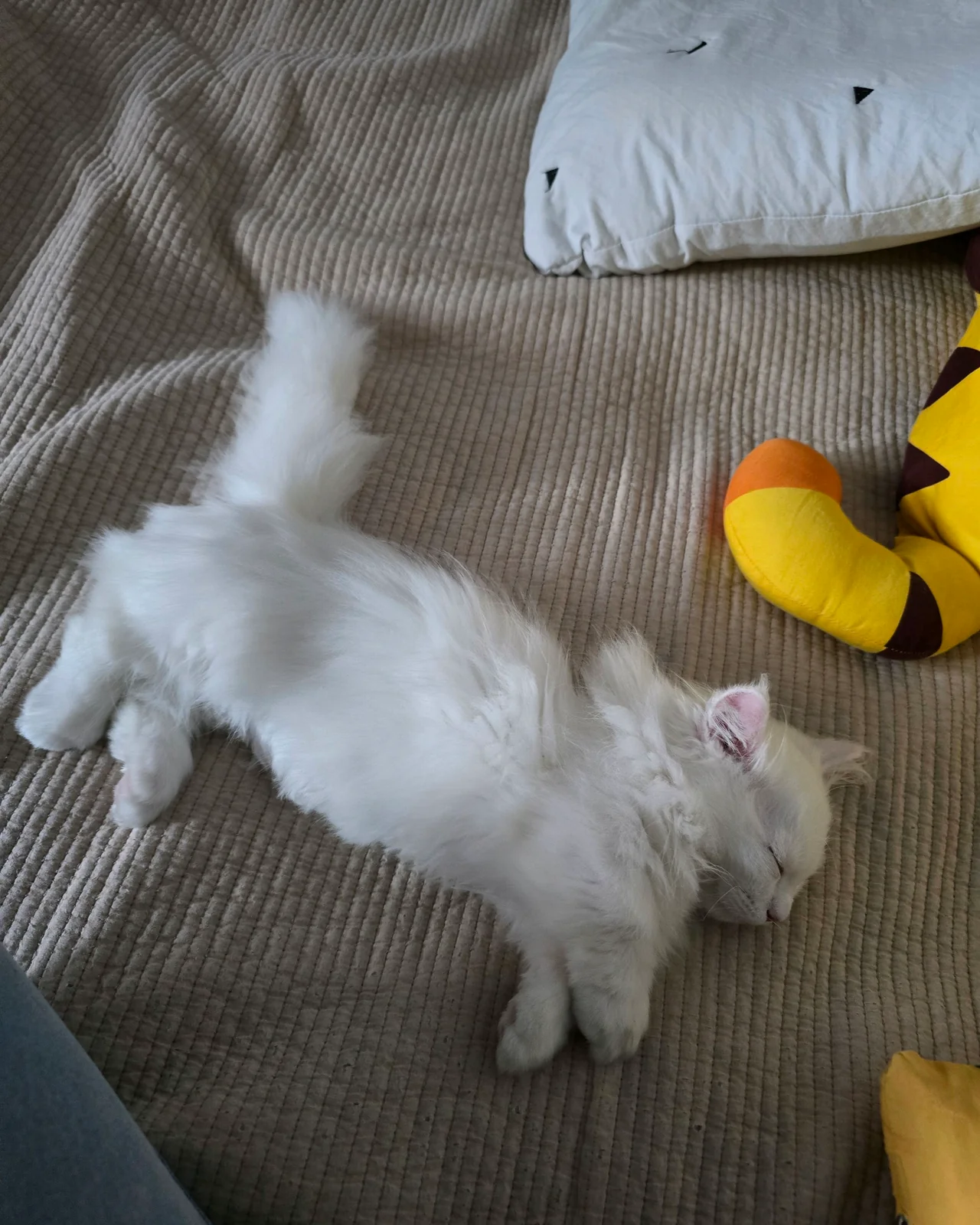리뷰 사진 1