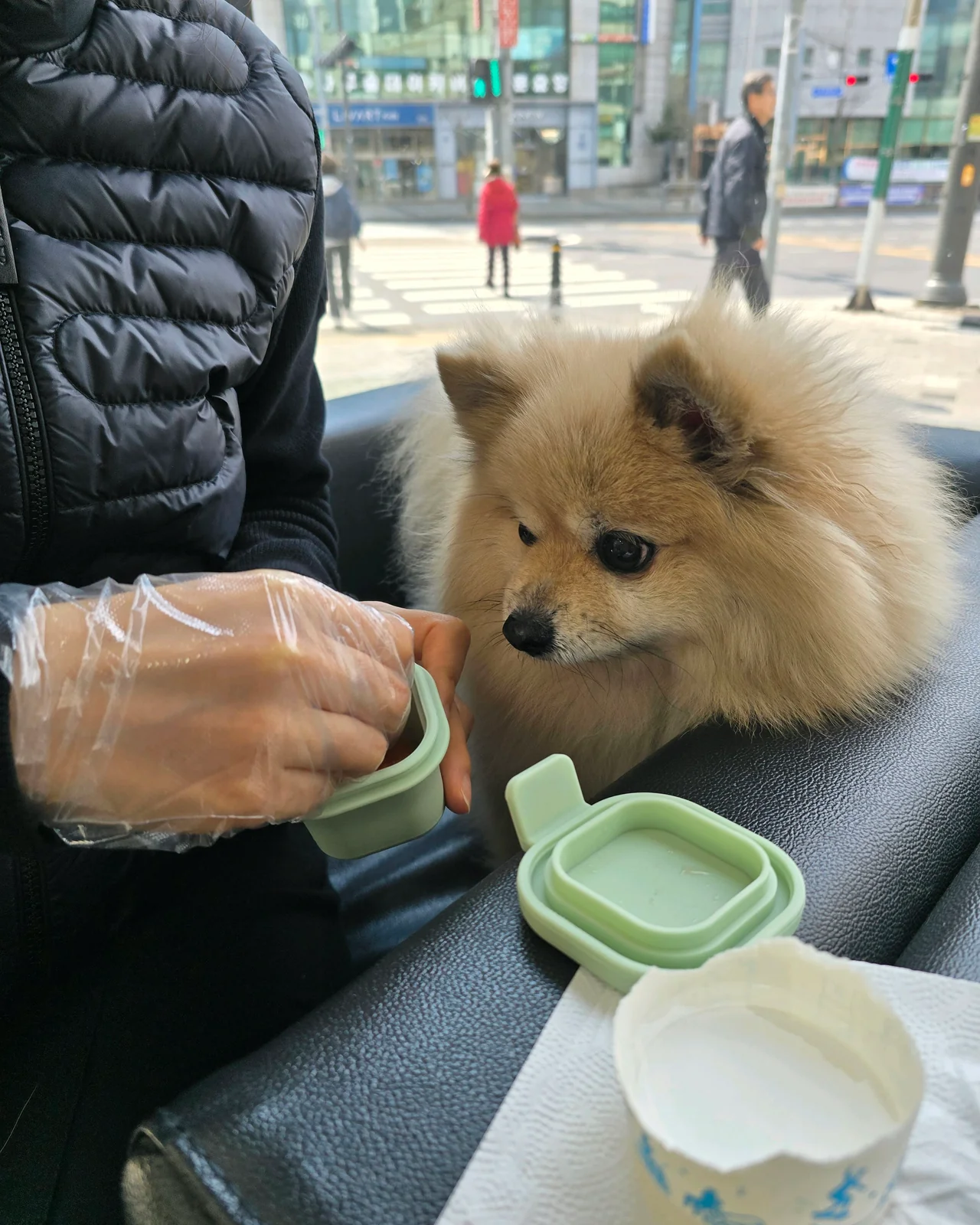 리뷰 사진 2