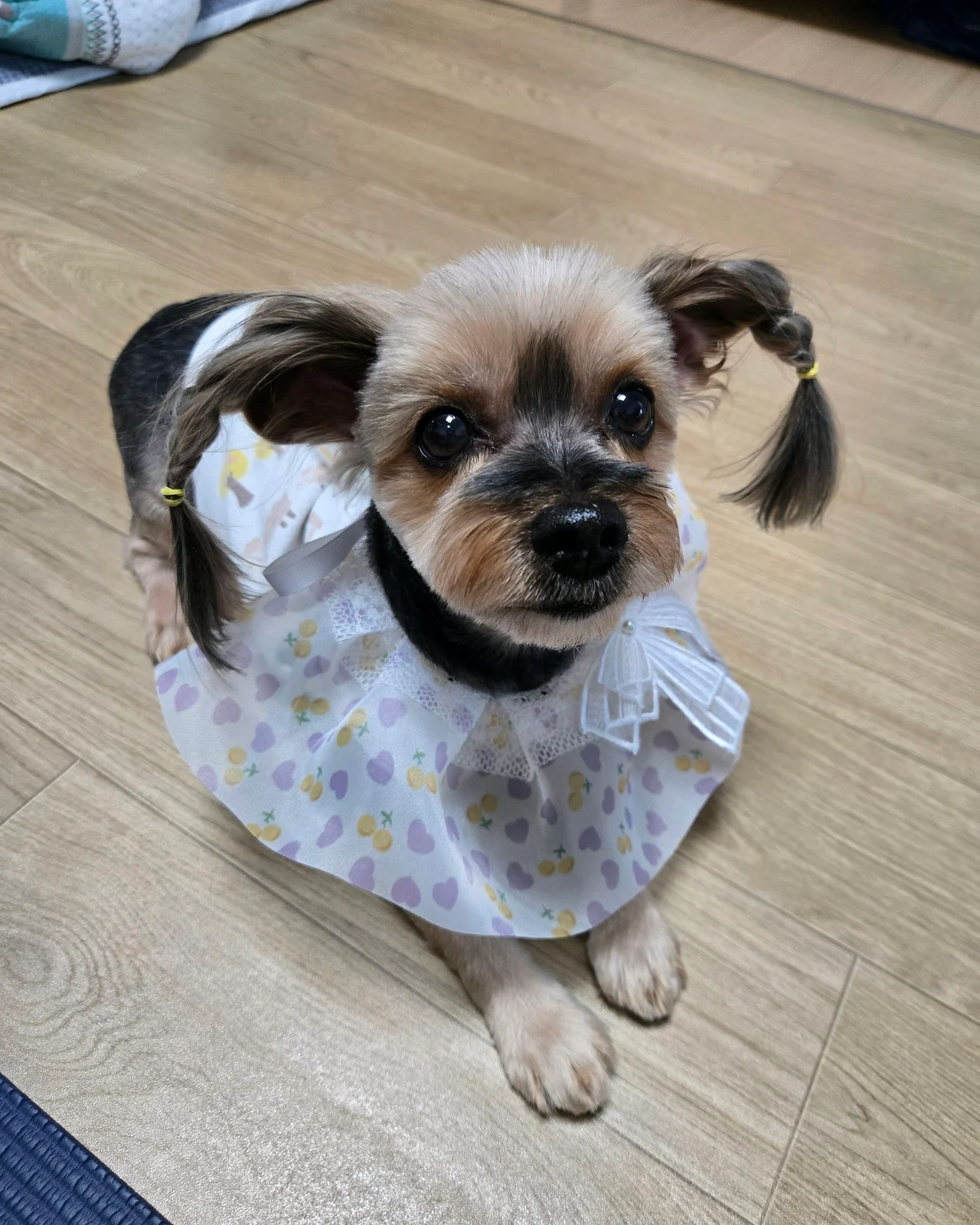 리뷰 사진 1