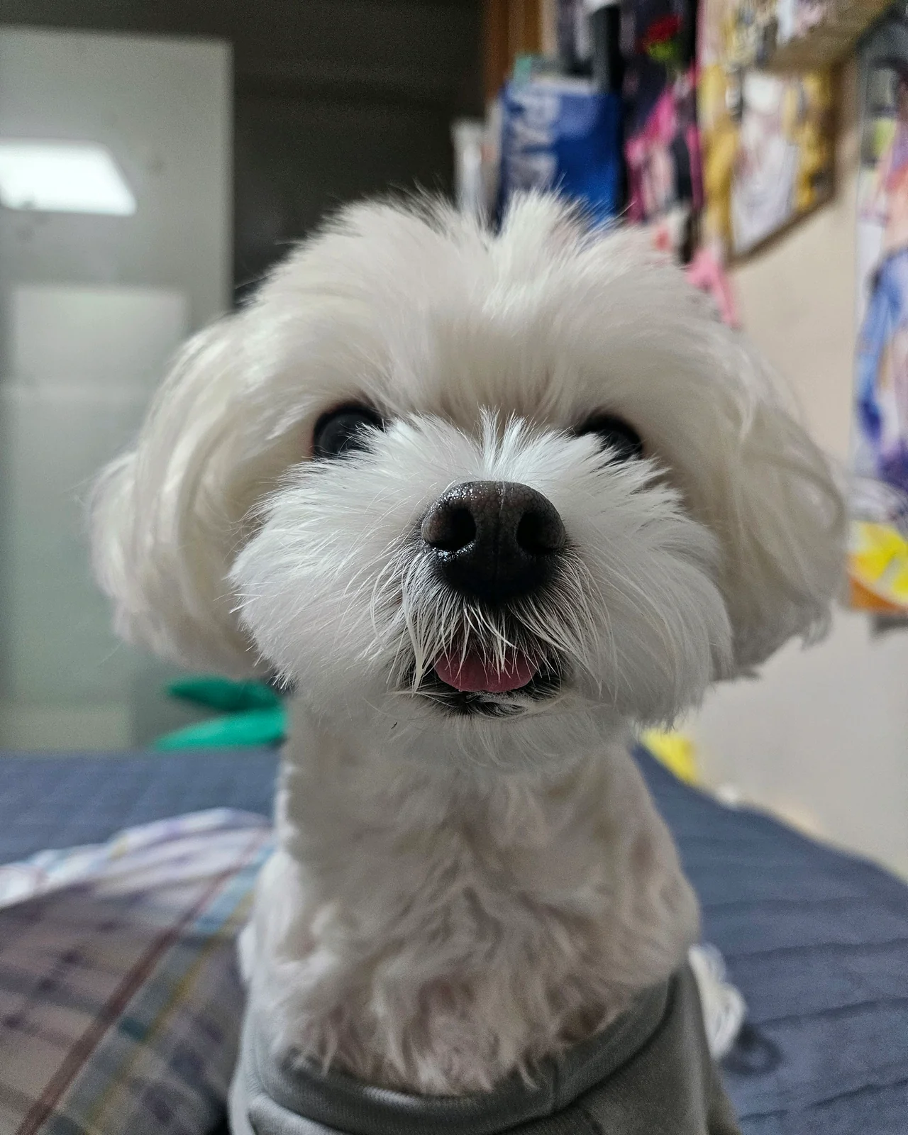 리뷰 사진 1