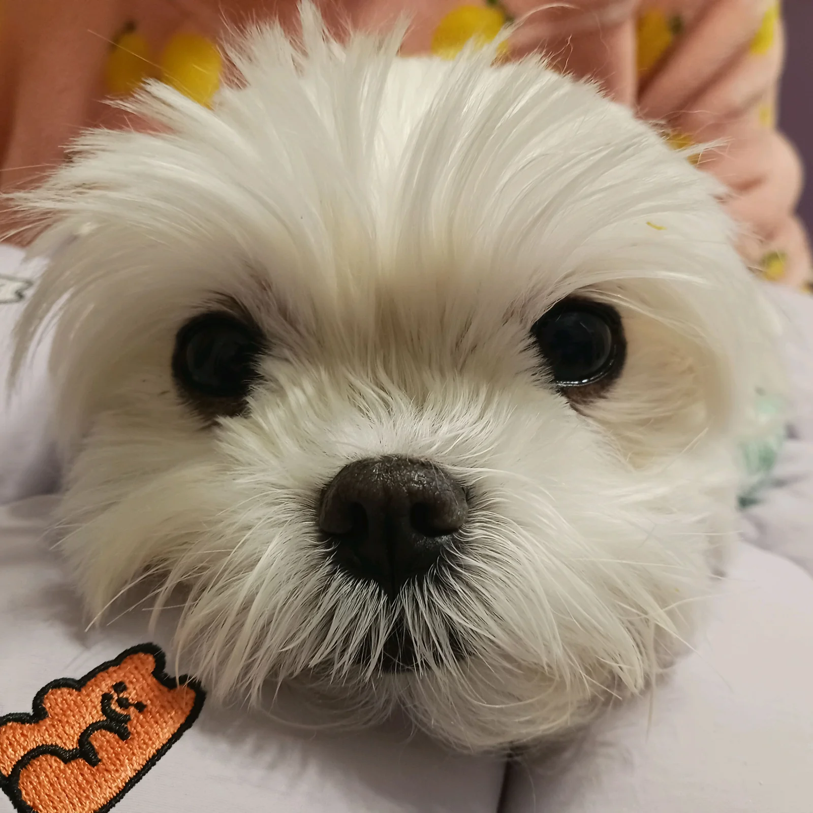 리뷰 사진 1