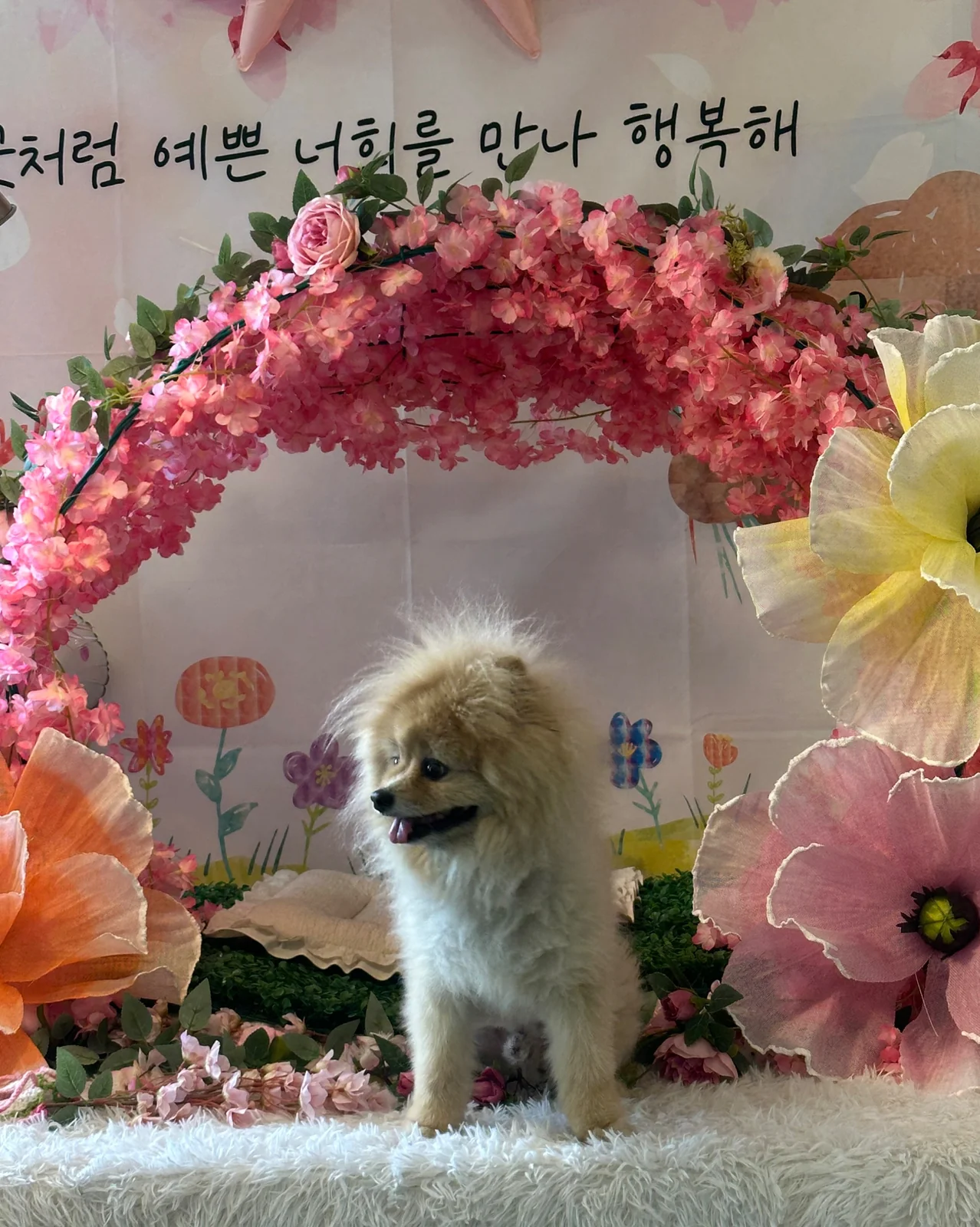 리뷰 사진 1