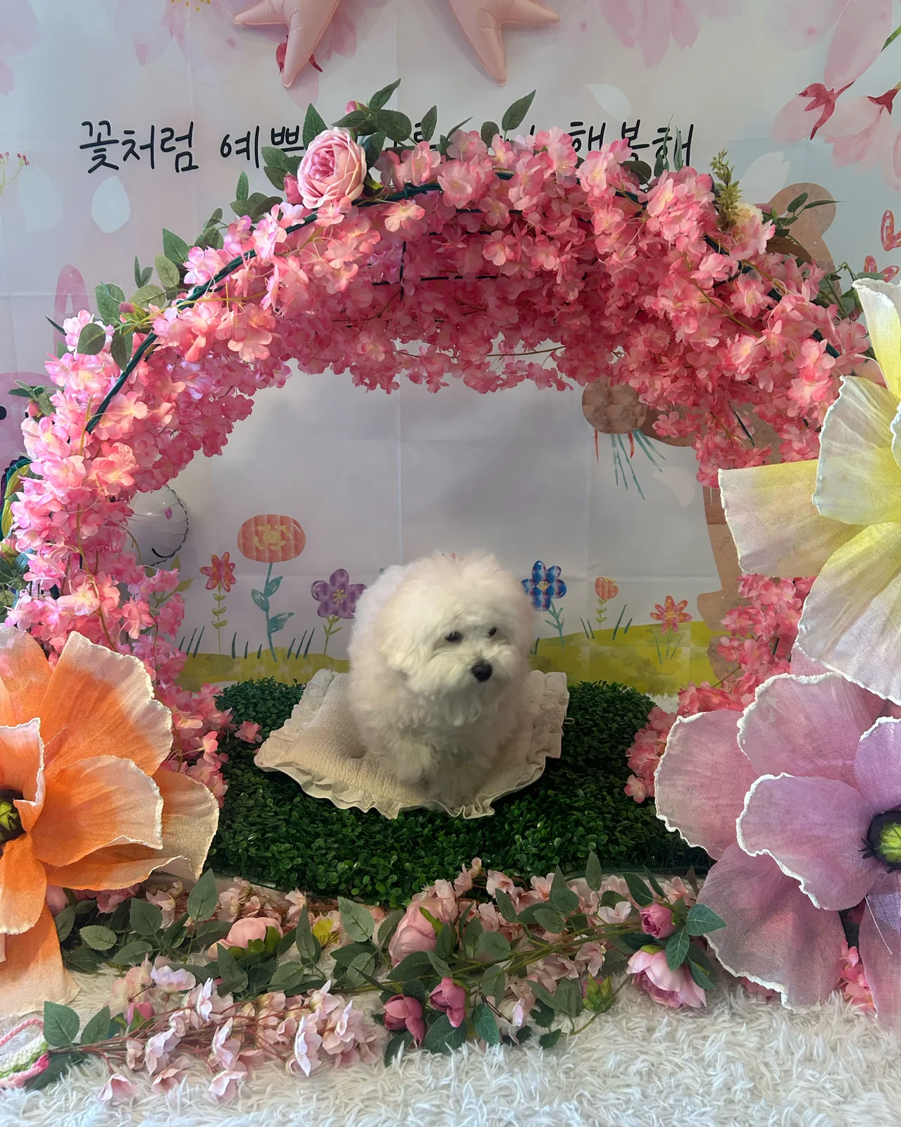 리뷰 사진 1