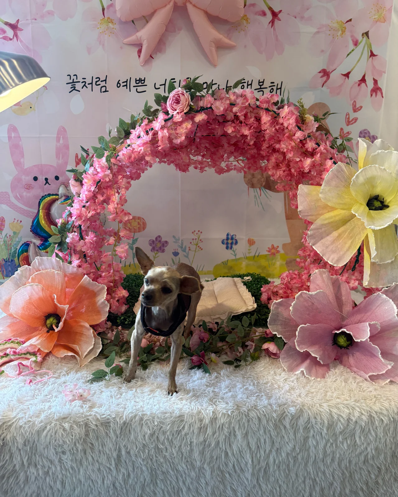 리뷰 사진 1