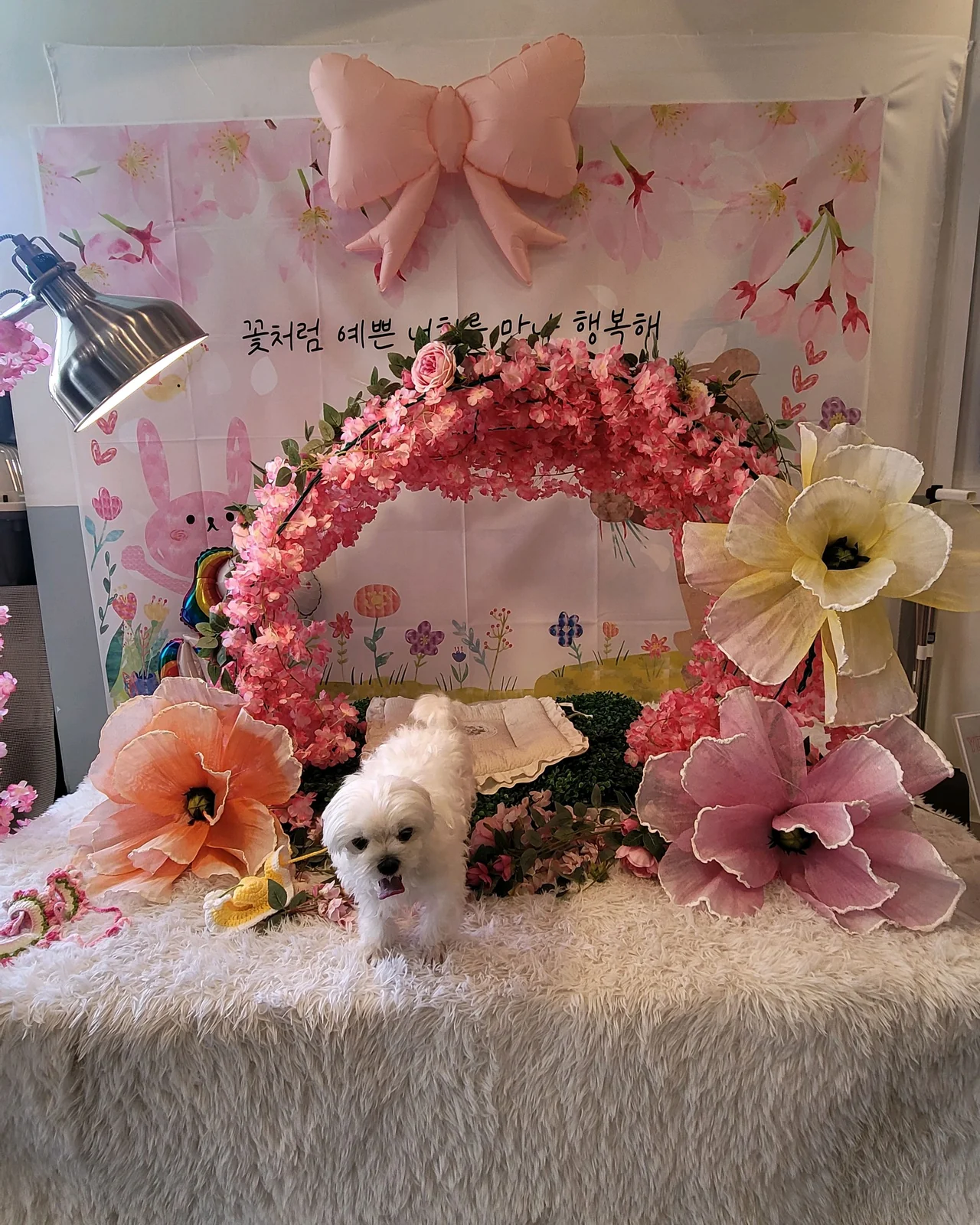 리뷰 사진 1