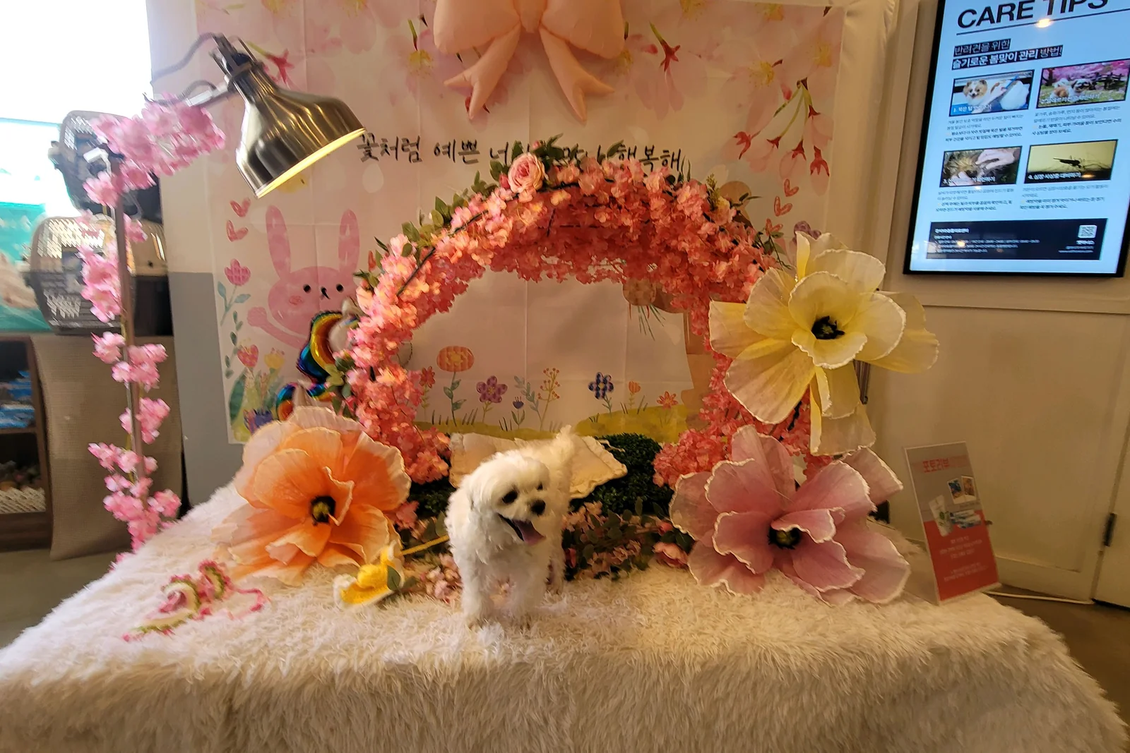리뷰 사진 2