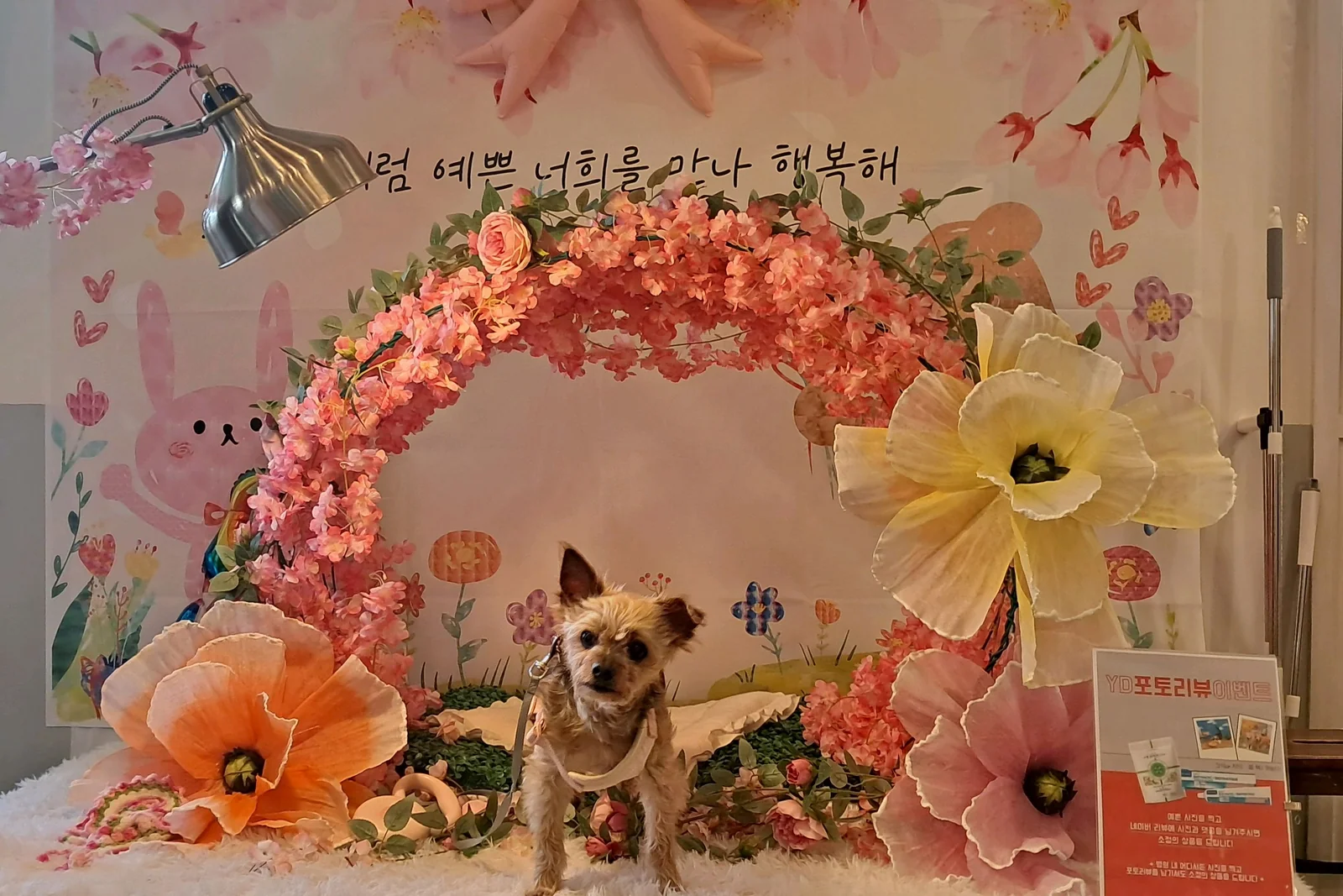 리뷰 사진 1