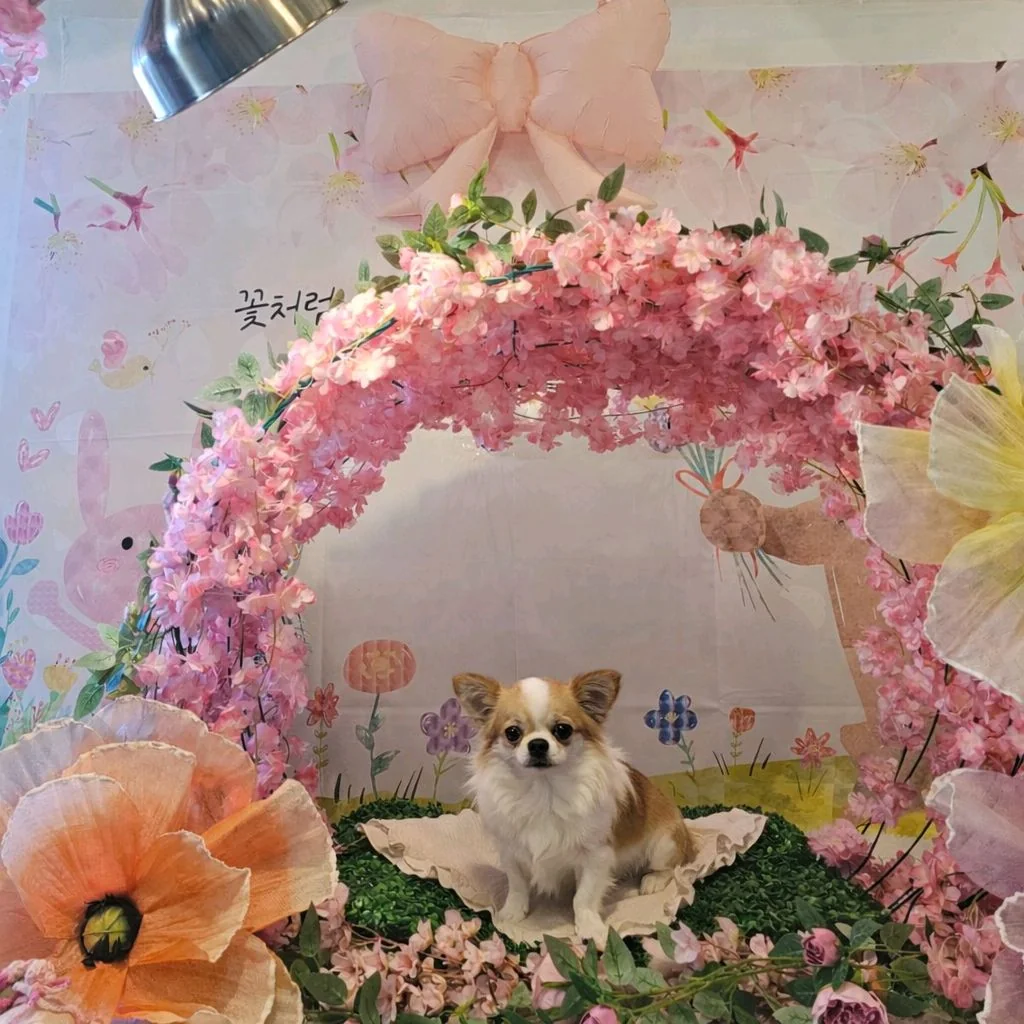 리뷰 사진 1