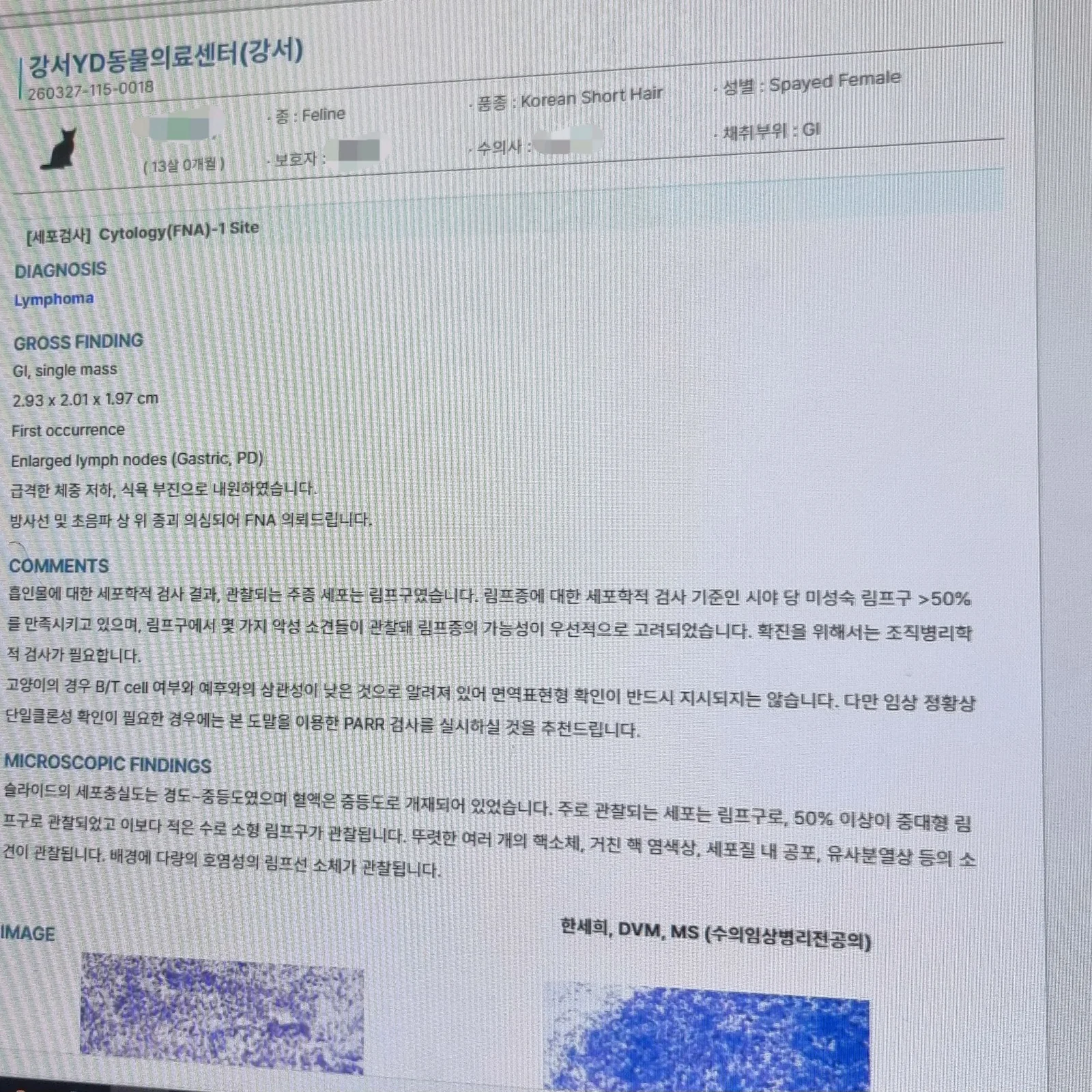 리뷰 사진 1