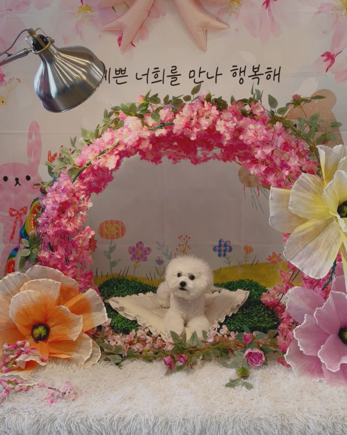 리뷰 사진 1