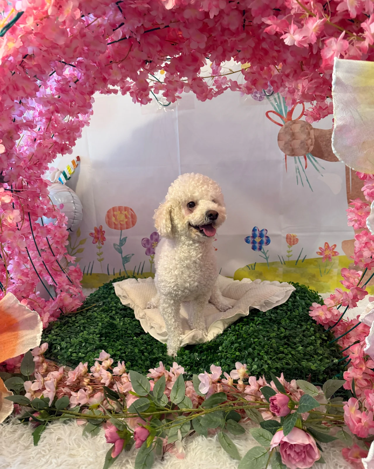 리뷰 사진 2