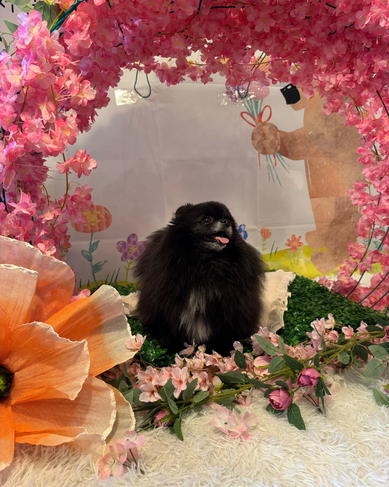 리뷰 사진 1