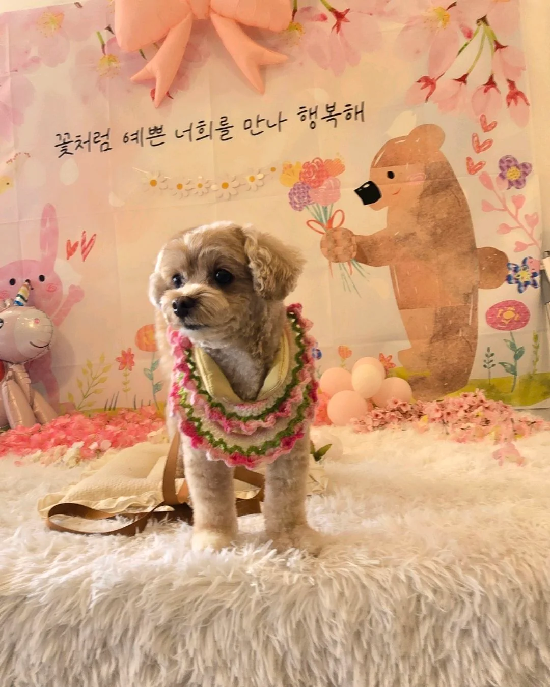 리뷰 사진 1