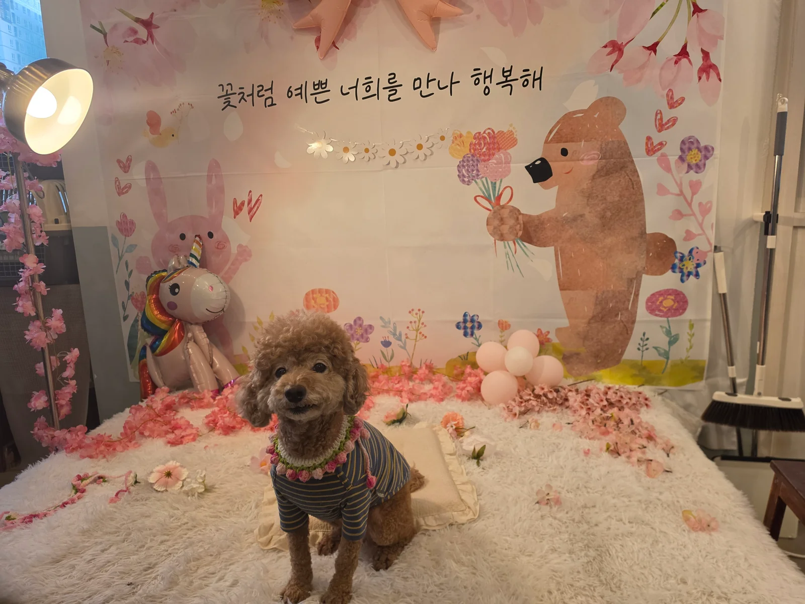 리뷰 사진 1