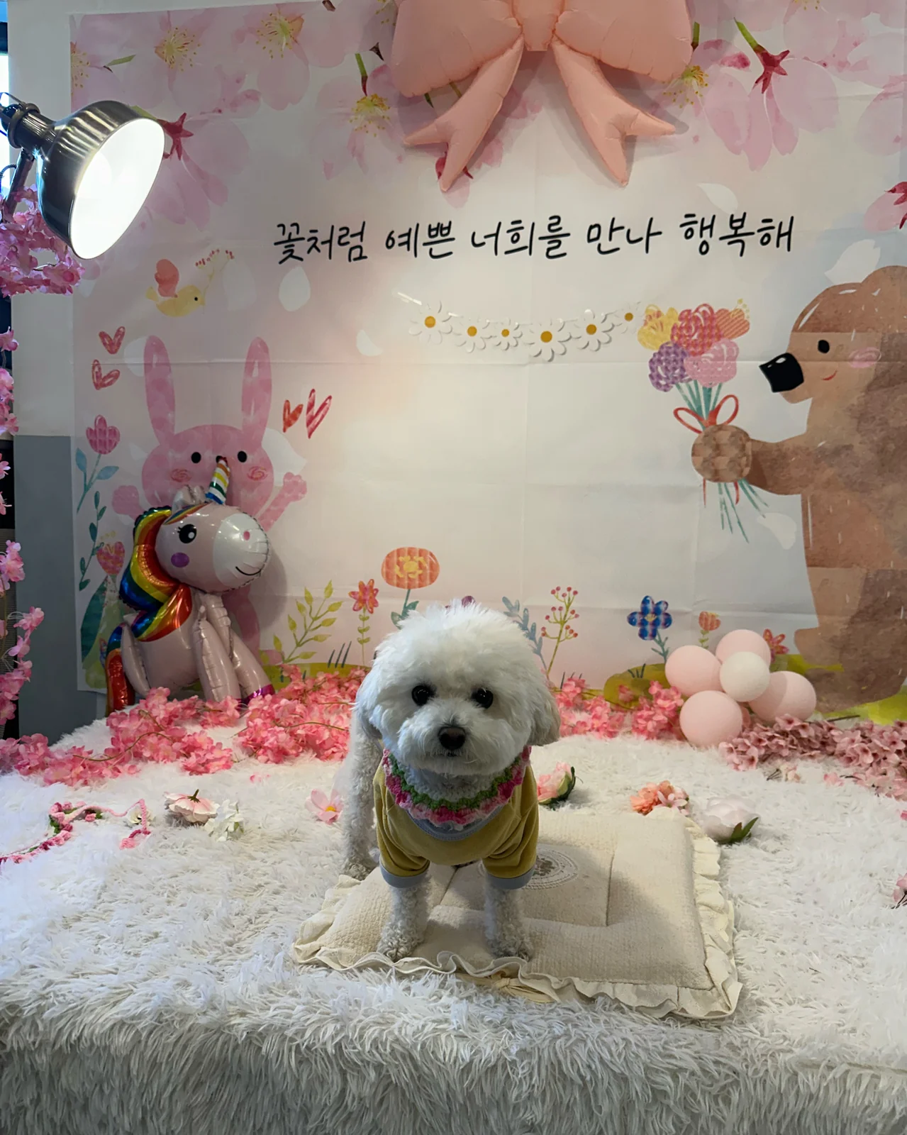 리뷰 사진 1