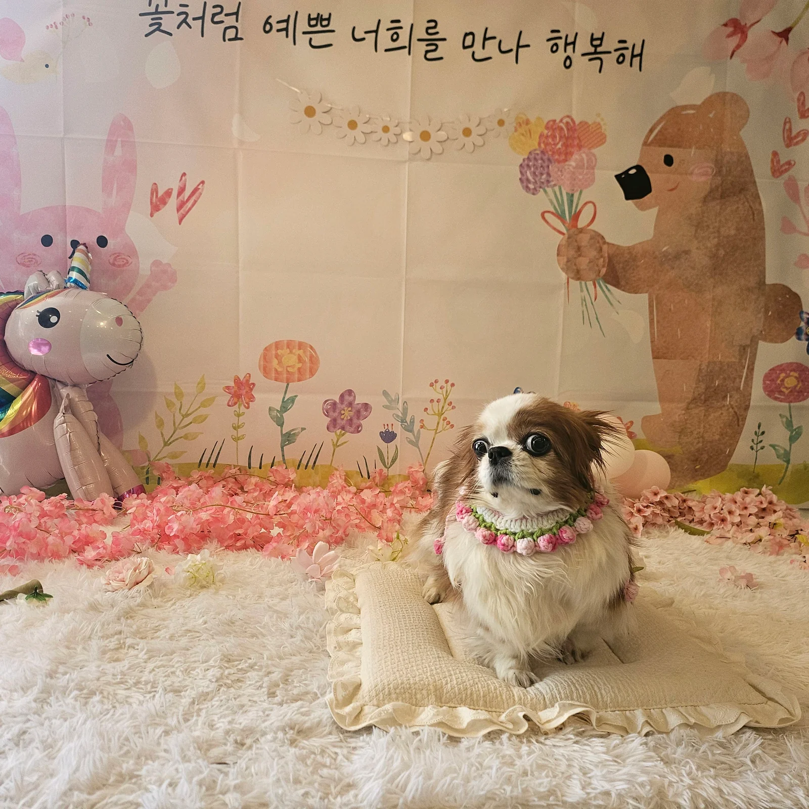 리뷰 사진 1