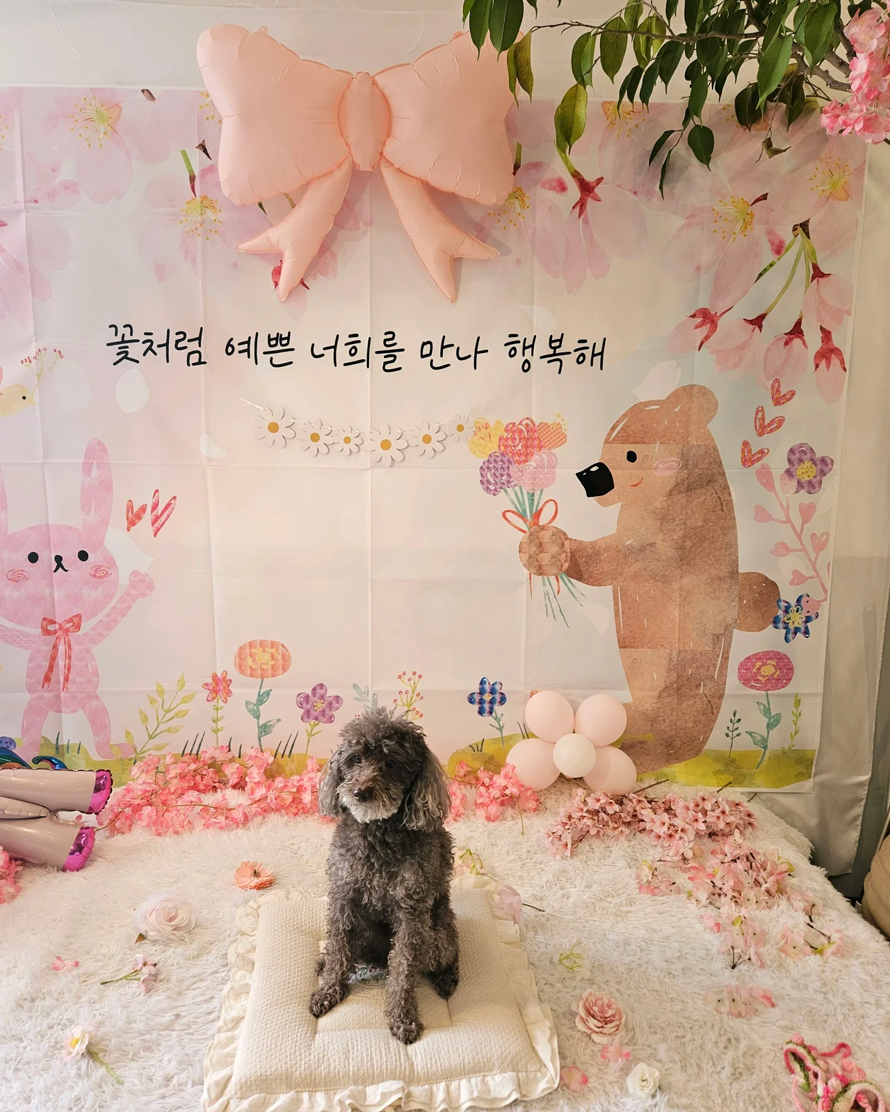 리뷰 사진 1