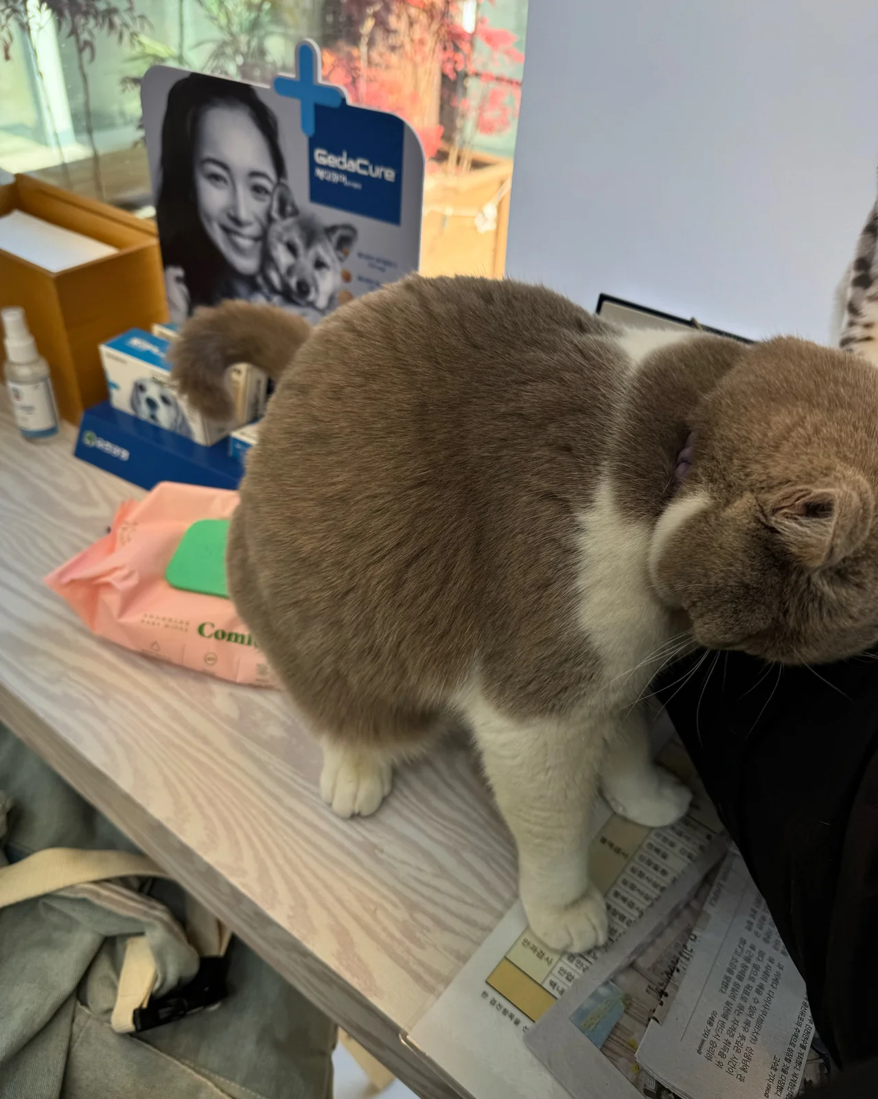 리뷰 사진 1
