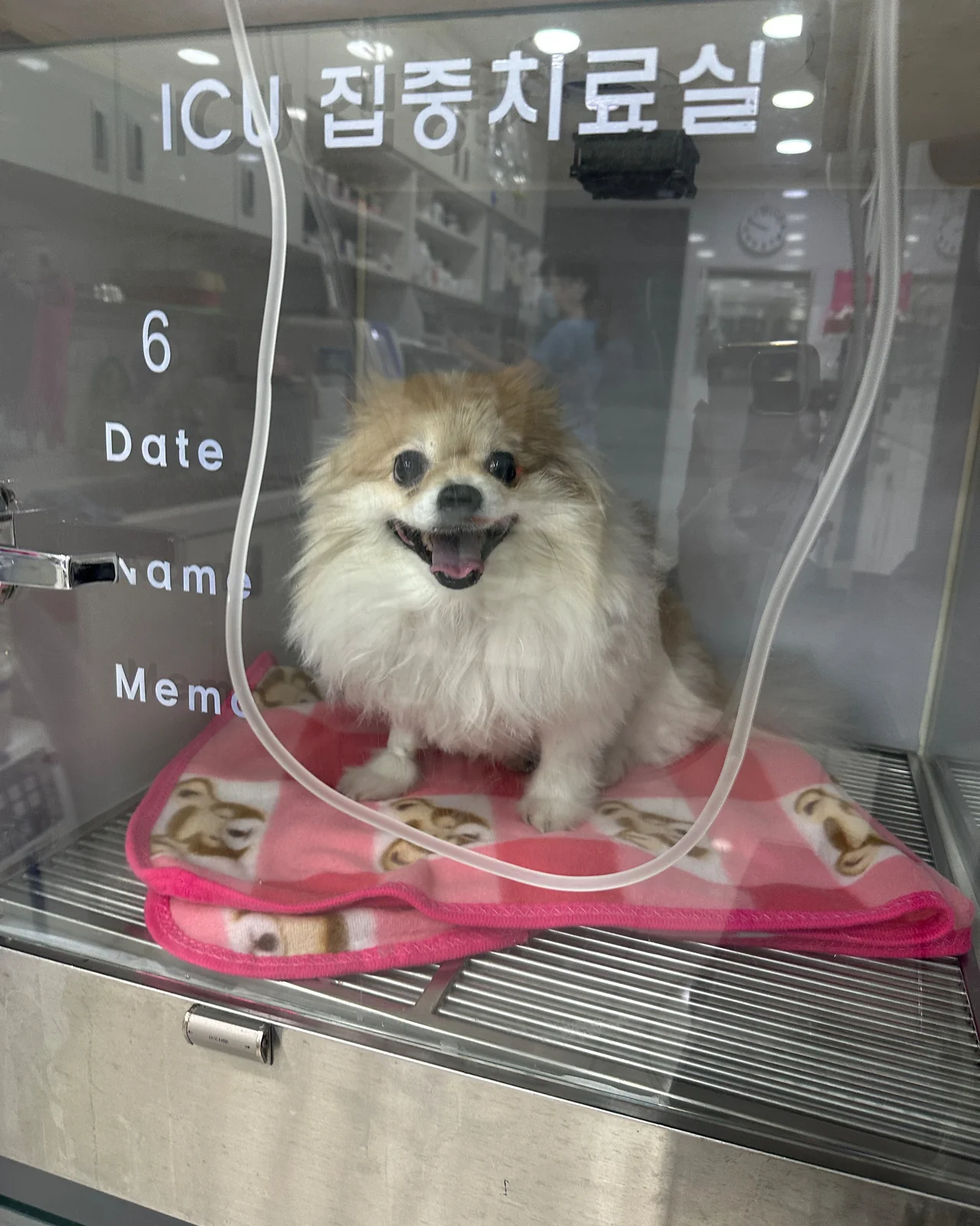 송정동물메디컬센터 사진 2
