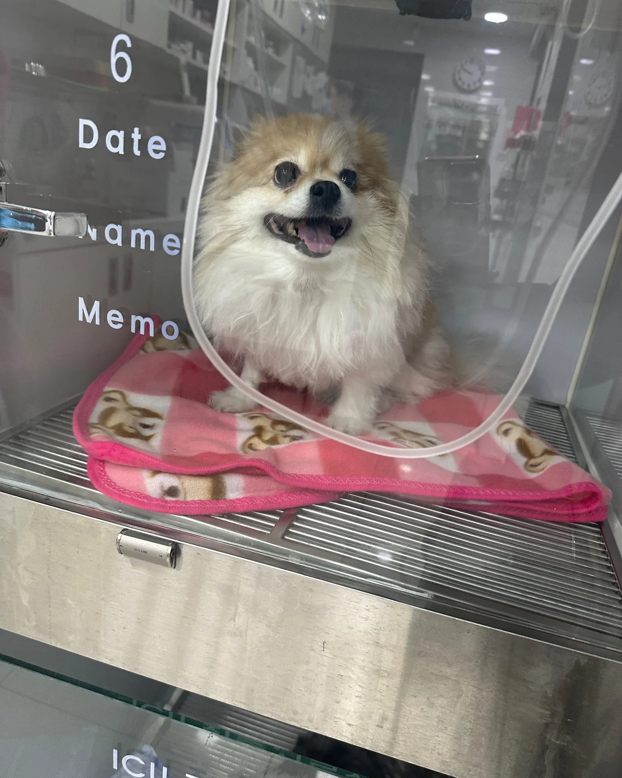 리뷰 사진 2