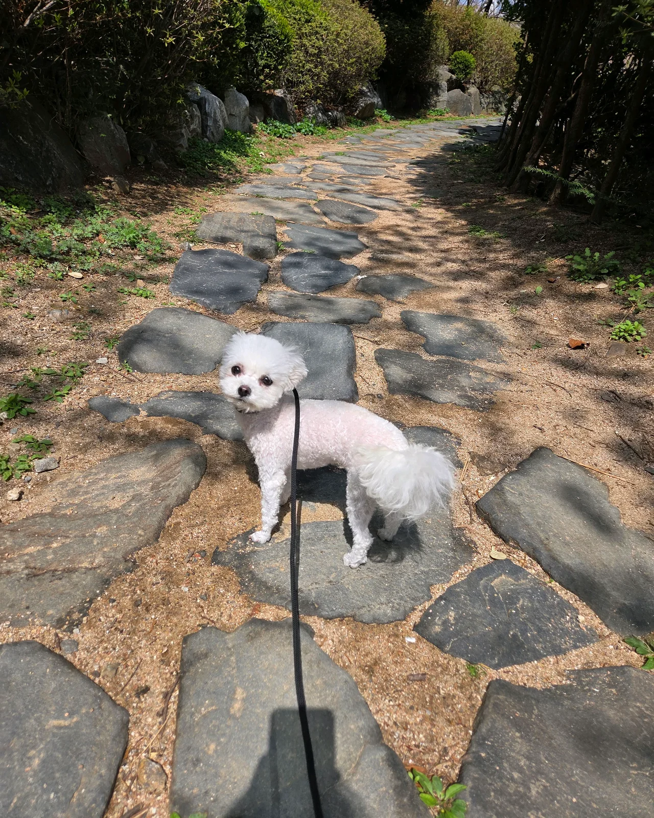 리뷰 사진 2
