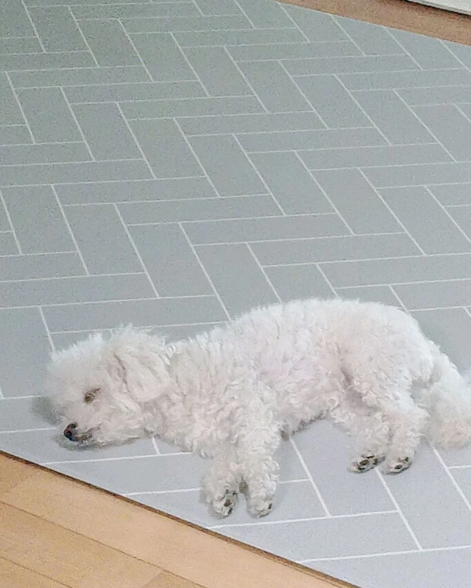 리뷰 사진 3