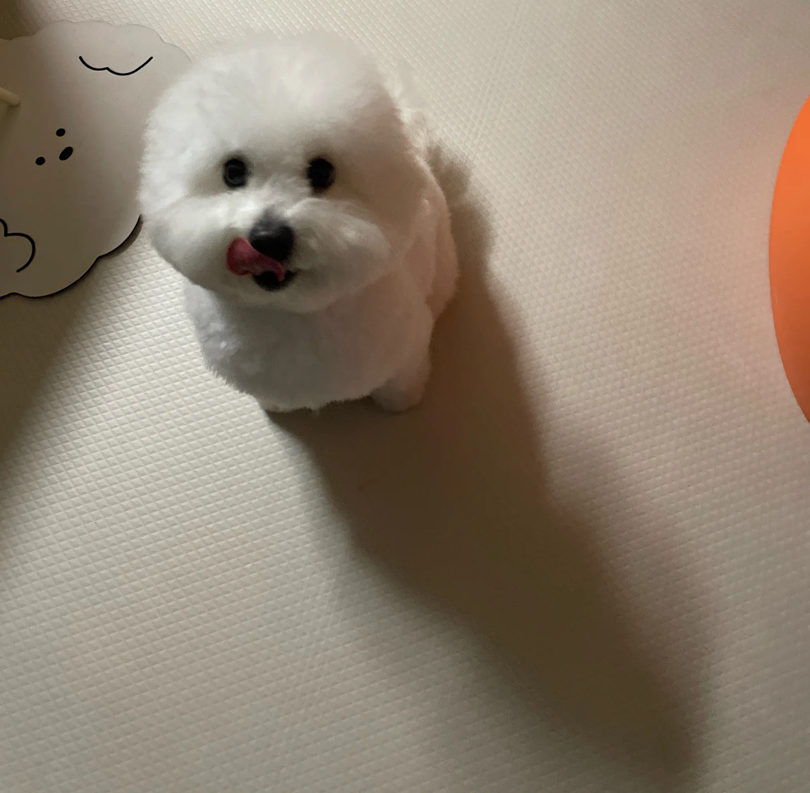 리뷰 사진 1