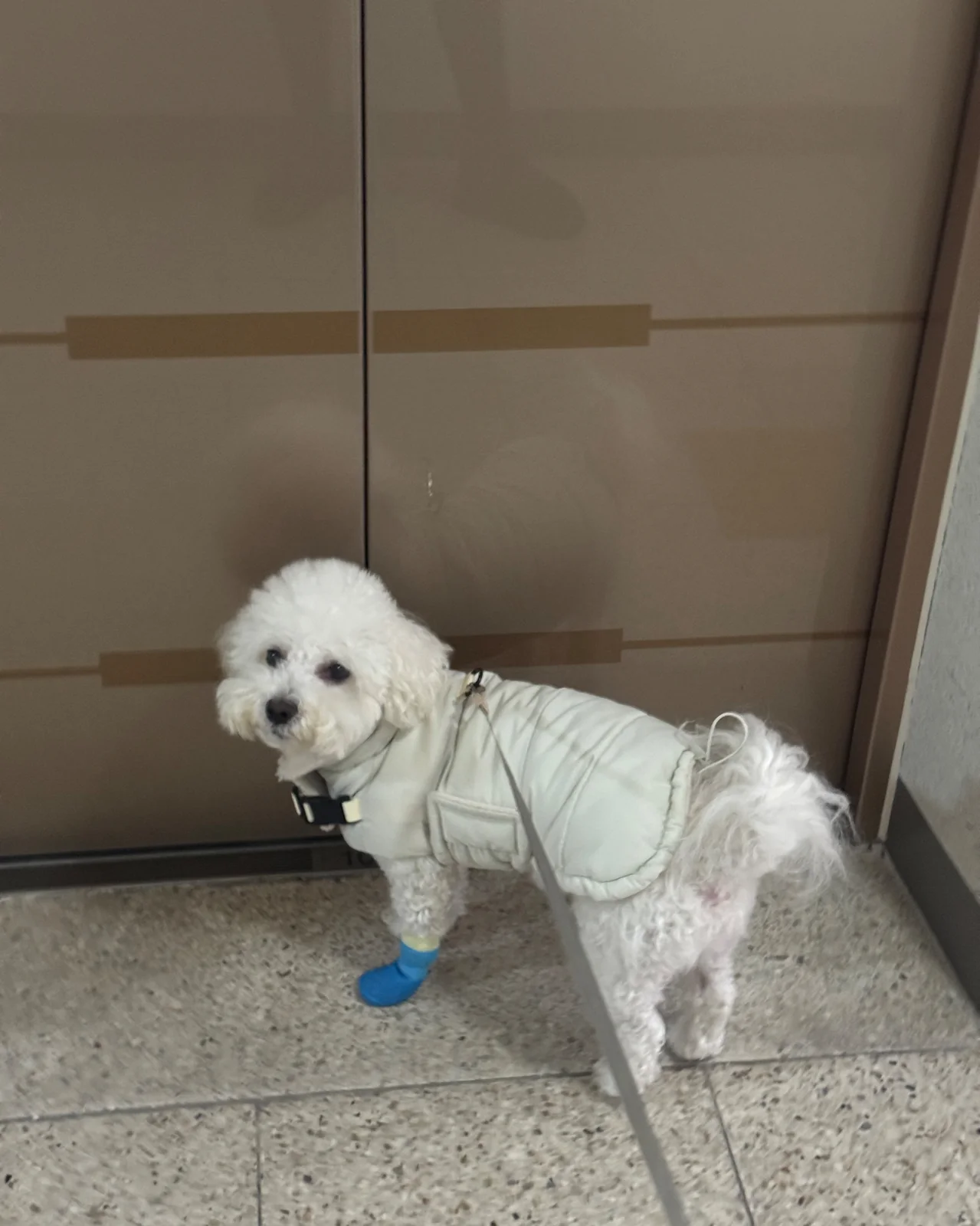 리뷰 사진 1