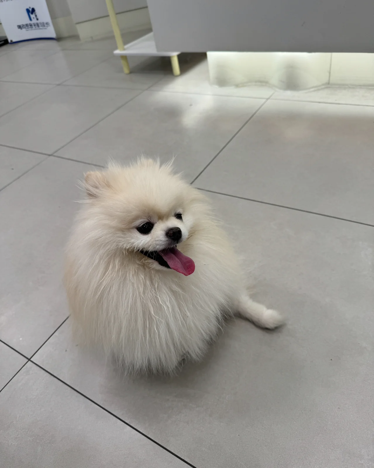 리뷰 사진 1